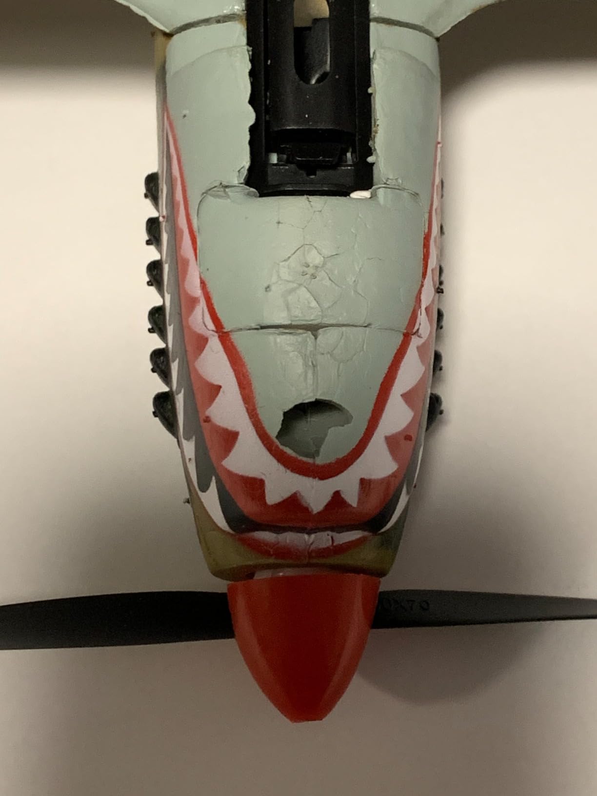LEAMBE RC Plane 4 Channel Remote Control Airplane - Ready to Fly P-40 Warhawk RC Airplane for Beginners Adult with Xpilot Stabilization System & One Key Aerobatic customer photo 1