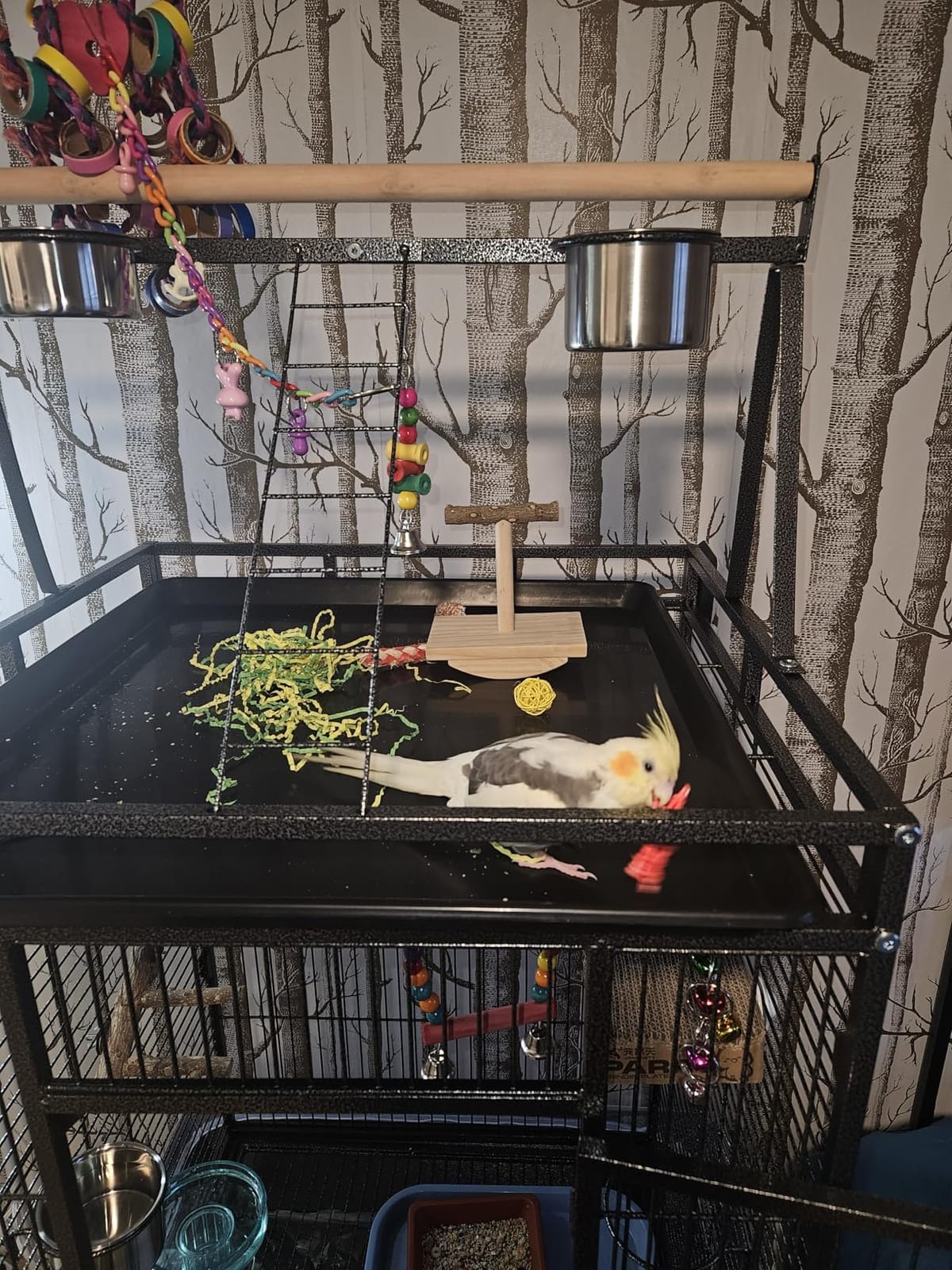 82 Inch Bird Cage, BOINN Bird Flight Cages with Rolling Stand & Bottom Tray, Wrought Iron Parrot Cage with PlayTop for Parakeet, Lovebirds, Ringneck, Cockatiels customer photo 2
