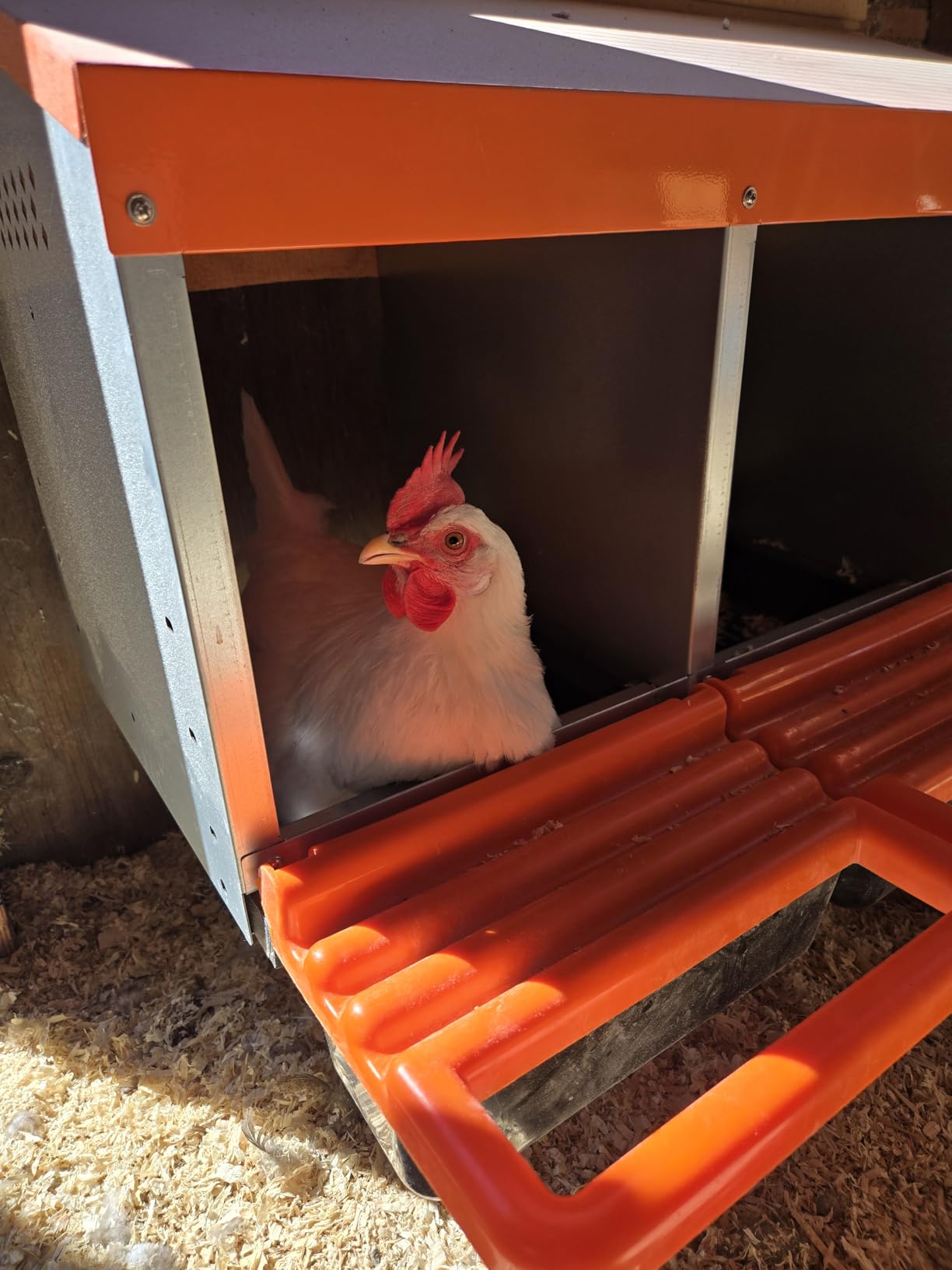 ZenxyHoC Chicken Nesting Box Red 3 Compartments | Metal Egg Laying Box with Rollout Egg Collection & Swing Perch for Backyard Chicken customer photo 2
