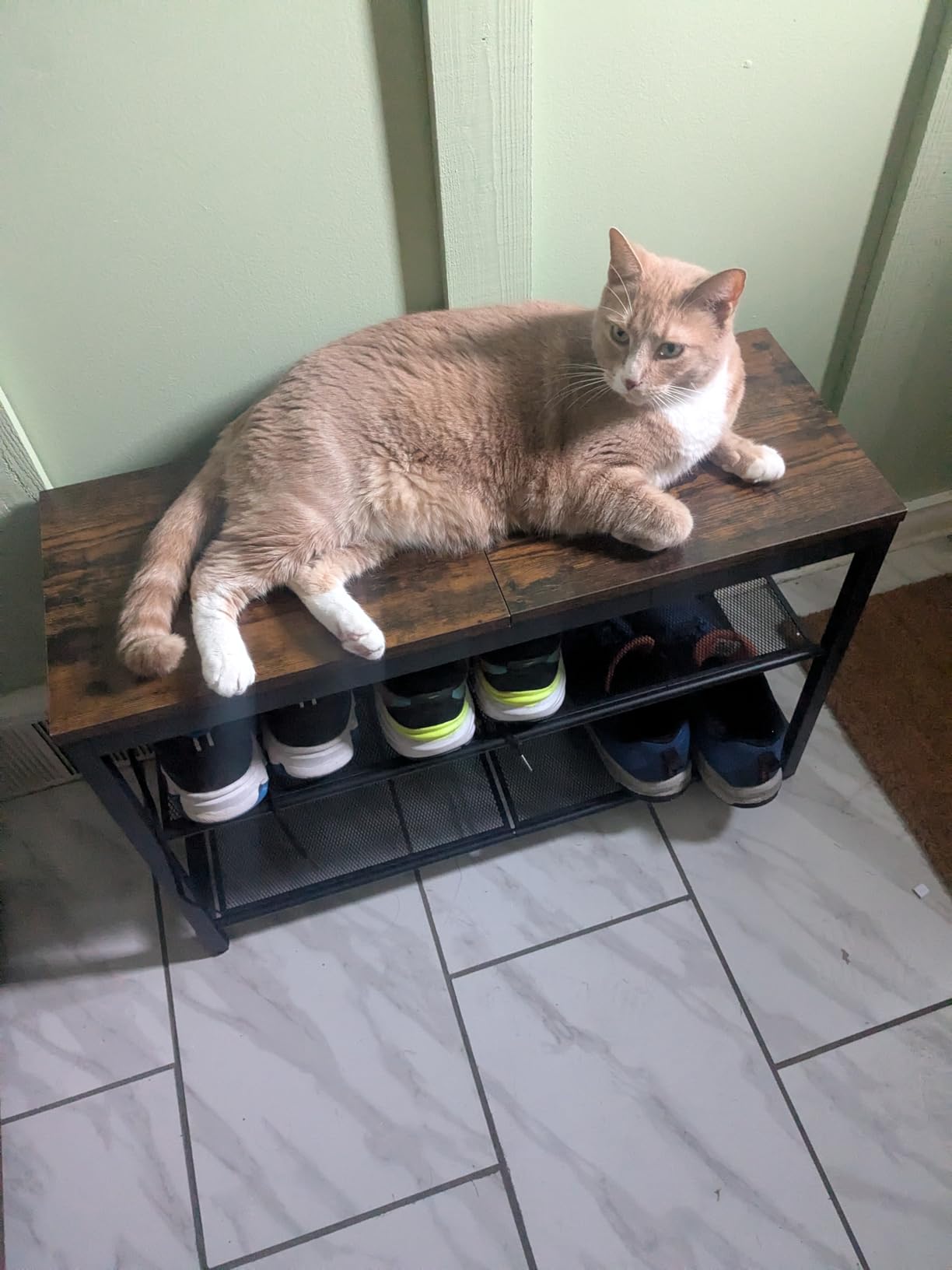 HOOBRO Shoe Bench, 3-Tier Shoe Rack, Industrial Shoe Organizer Storage Bench, 29.5 inches Entry Bench with Mesh Shelves, for Entryway, Living Room, Hallway, Easy Assembly, Rustic Brown BF75HX01 customer photo 1