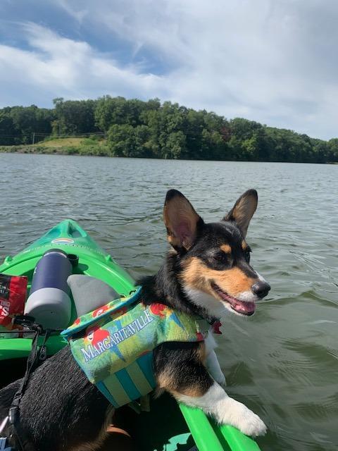 Perception Flash 9.5 | Sit Inside Kayak | Rod Holders and Rear Storage customer photo 2