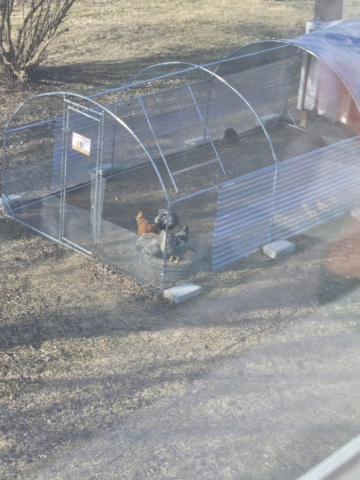 Large Metal Chicken Coop Round Top Upgrade Tri-Supporting Wire Mesh Chicken Run, Chicken Pen with Water-Resident and Anti-UV Cover, Duck Rabbit House Outdoor (19'L x 9'W x 6.5'H) customer photo 1