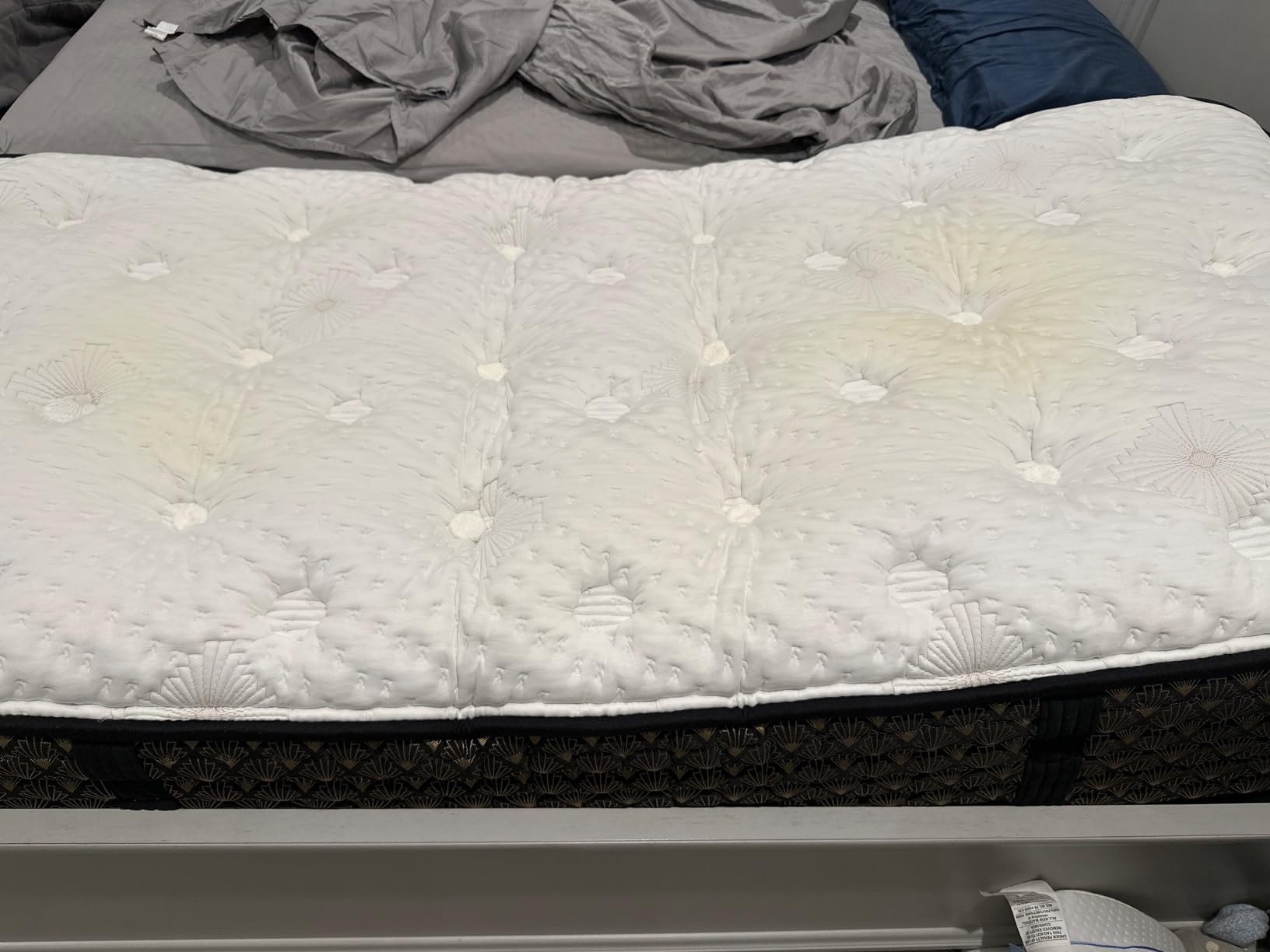 Bedgear Dri-Tec Waterproof Mattress Protector- Cooling Moisture-Wicking Mattress Cover | Breathable Noiseless Mattress Pad with Deep Pocket Fit up to 18