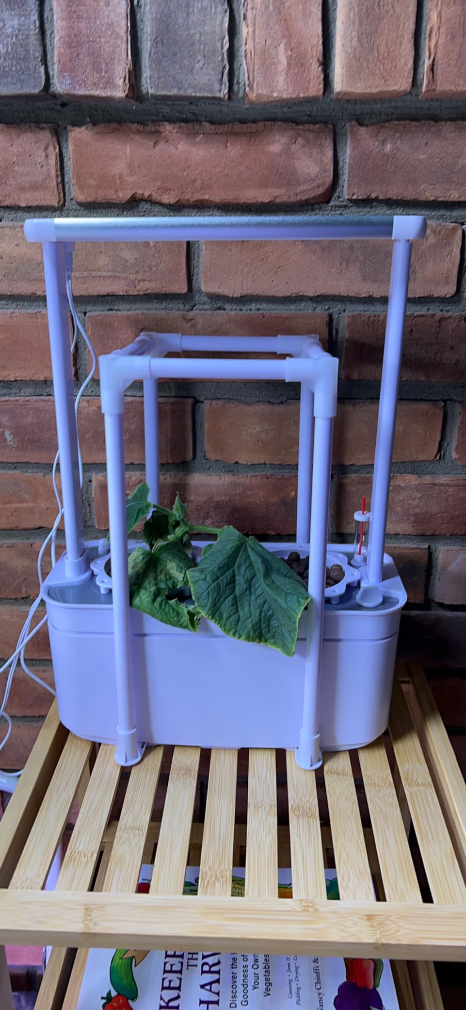 Tall Hydroponics Growing System kit with Height Adjustable Light & Trellis customer photo 2