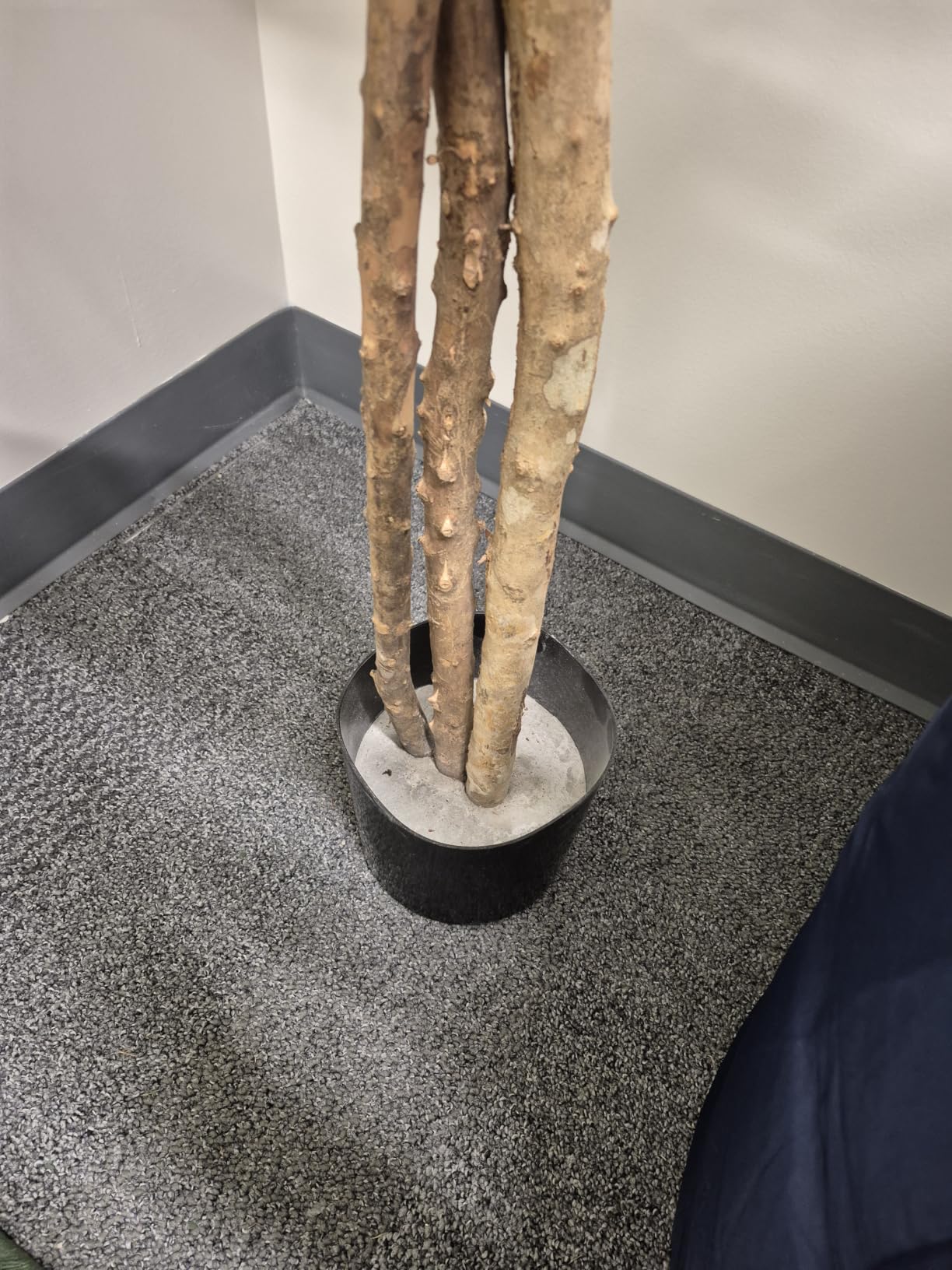 GTIDEA 6FT Artificial Ficus Tree with Real Wood Trunks, Faux Tree Indoor | Fake Floor Plant with Nursery Pot Tall Fake Silk Tree Faux Plant for Indoor Outdoor Home Garden Office Living Room Decor customer photo 2