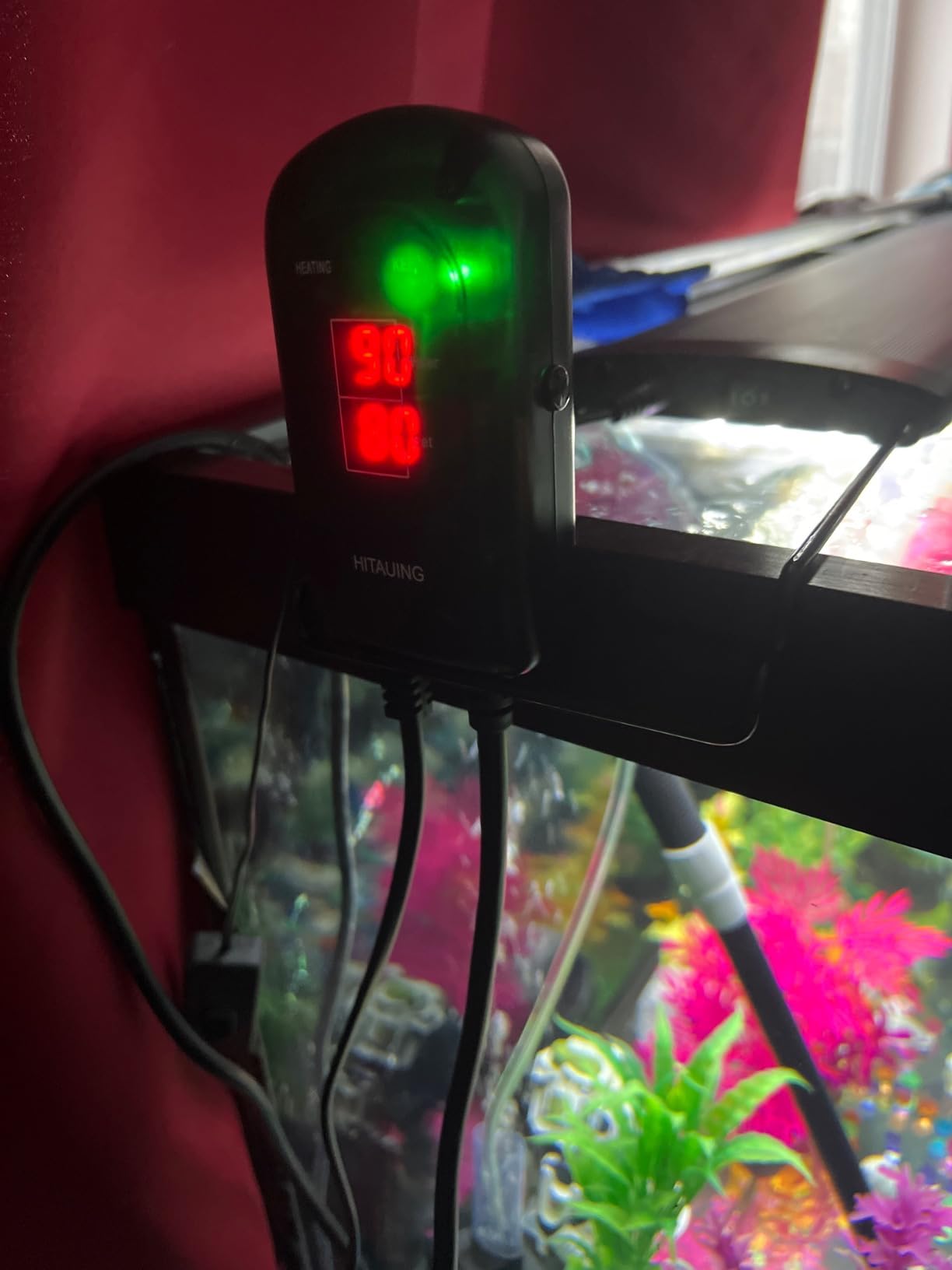 HiTauing Aquarium Heater, 300W Fish Tank Heater with LED Digital Display & 5 Safety Protection, Submersible Aquarium Heater with 2 Suction Cup and 8.2Ft Cord for 40-75 Gallon Fish Tank customer photo 1