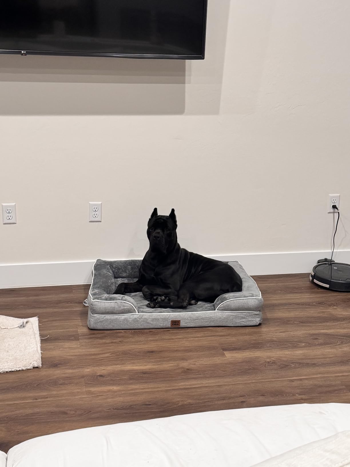 EHEYCIGA Orthopedic Dog Beds Large Sized Dog, Waterproof Memory Foam Pet Bed with Sides, Non-Slip Bottom Large Pet Bed with Washable Removable Cover, Grey customer photo 2