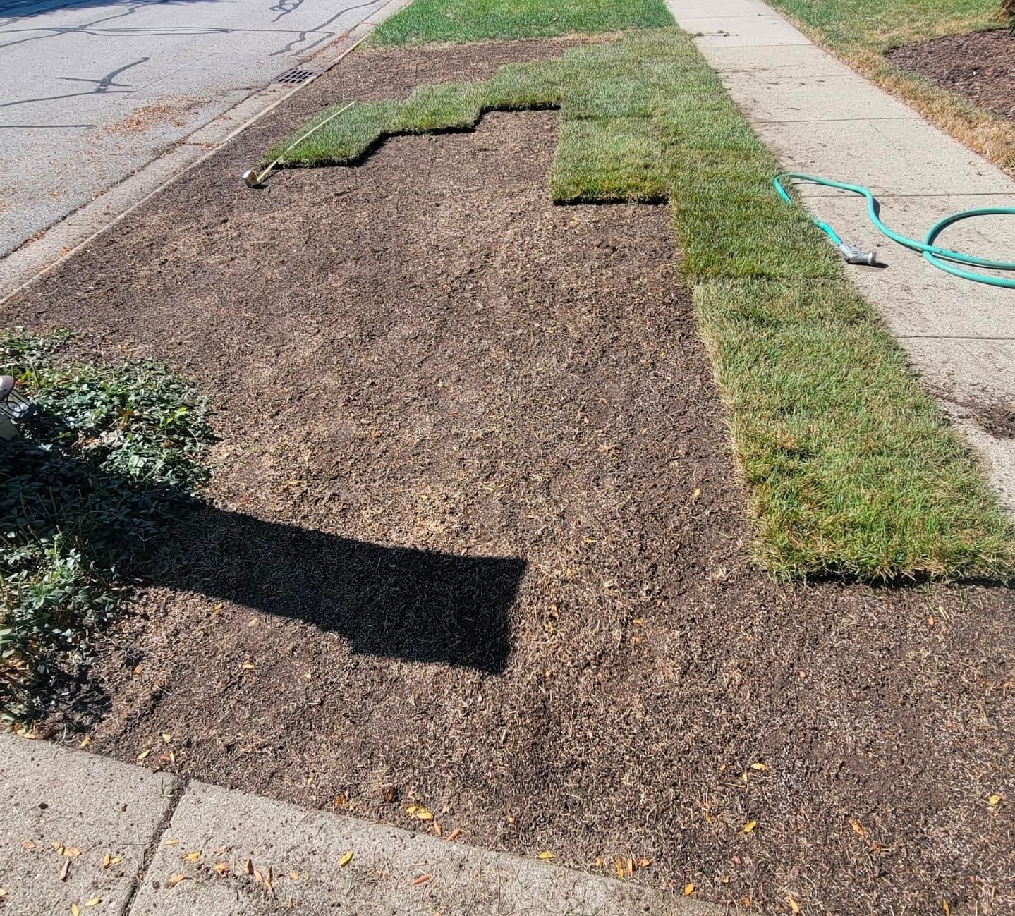 WEN 15-Inch 13-Amp 2-in-1 Electric Dethatcher and Scarifier with 12-Gallon Collection Bag (DT1315) customer photo 1