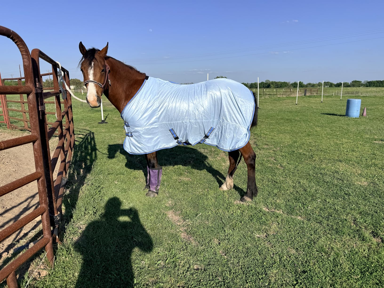 Comfy Mesh Horse Fly Sheet Equine Summer Sheets Stand Neck White 72 customer photo 1