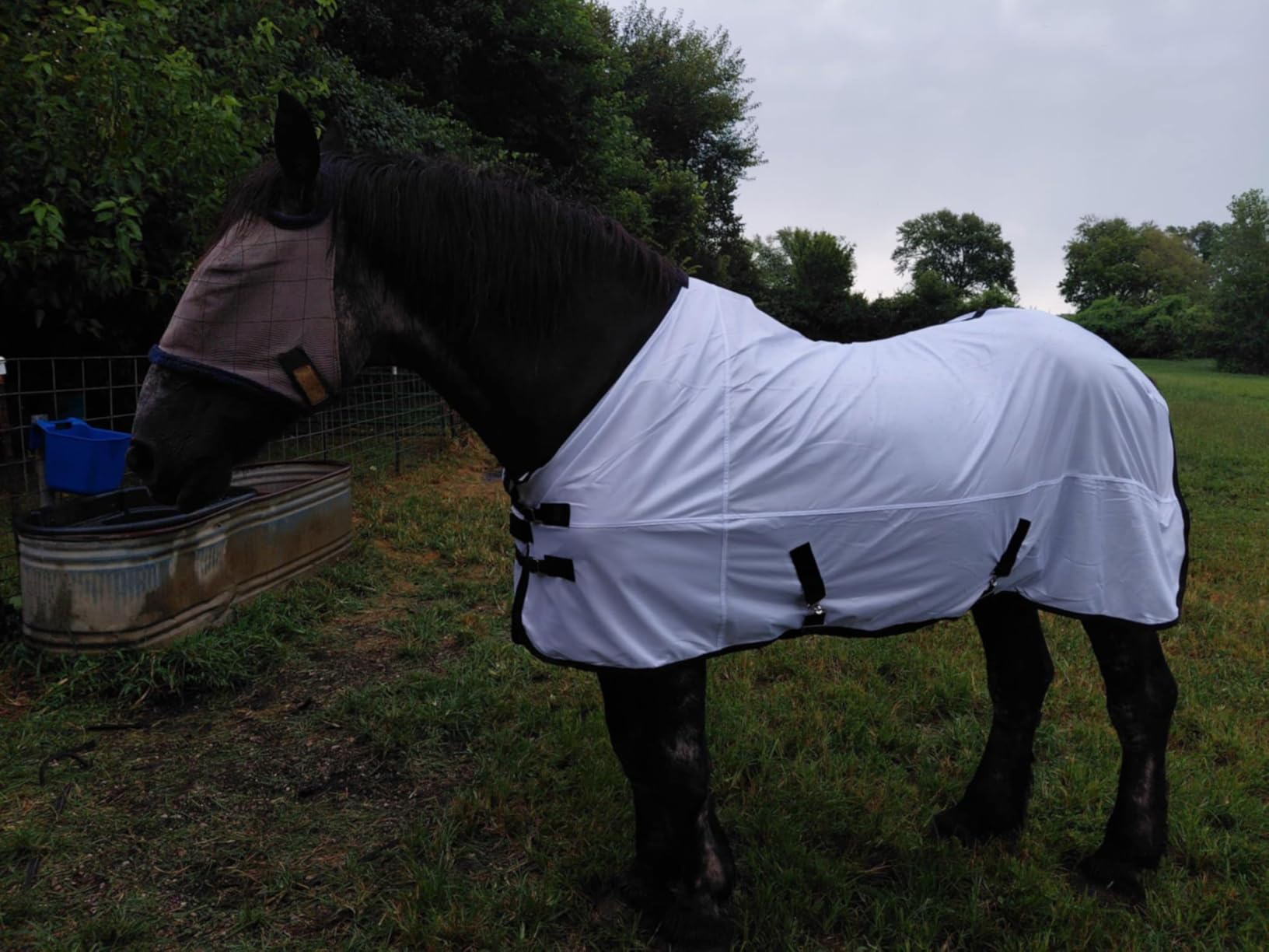 Comfy Mesh Horse Fly Sheet Equine Summer Sheets Stand Neck White 72 customer photo 2