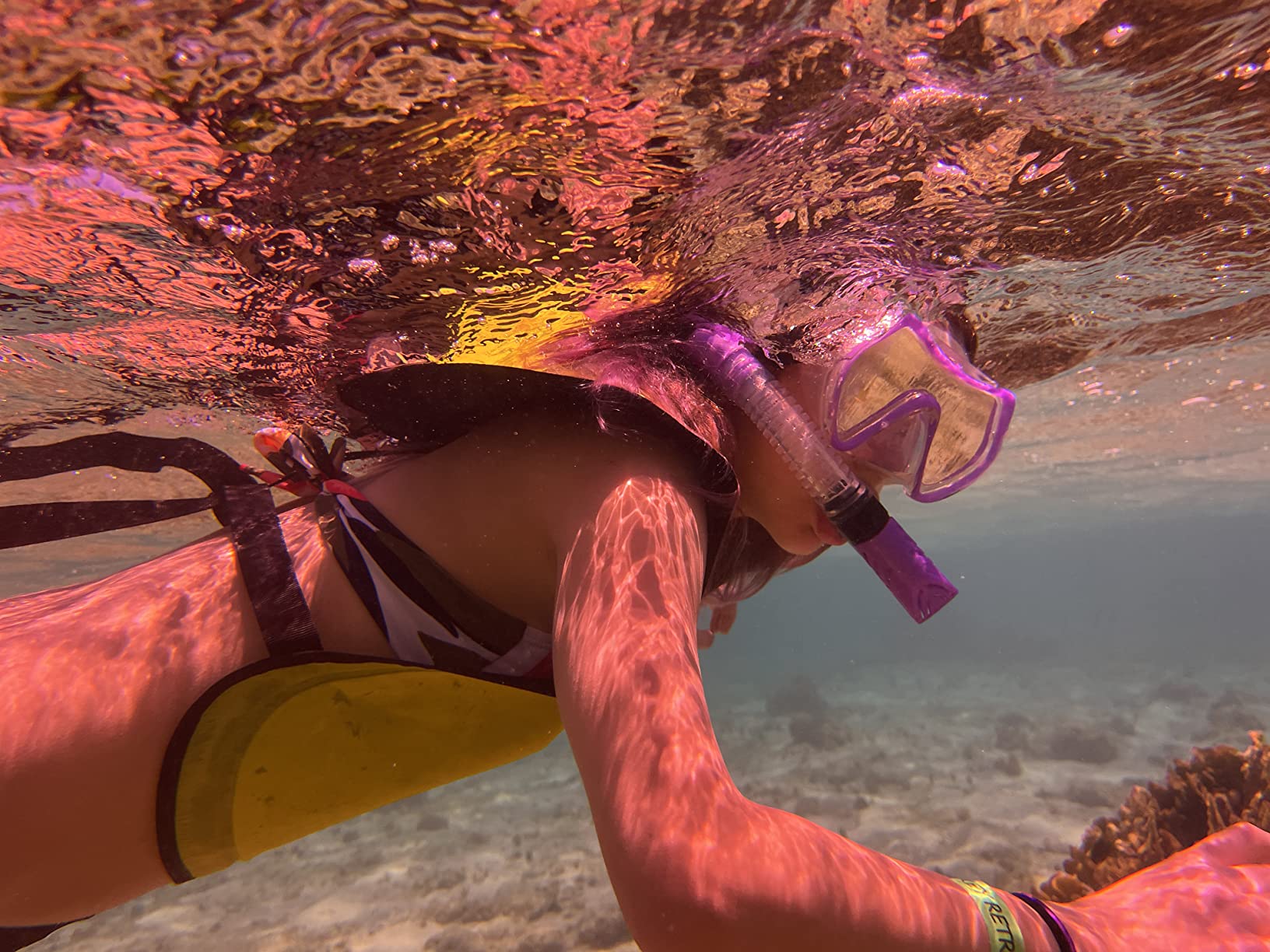 Red Filter 3 Pack for Underwater Photography - Compatible Only with The ProShot Dive & ProShot Touch 2.0 Case. Red, Magenta, and Pink Filter Included. Enhance Your Underwater Photos & Videos. customer photo 1