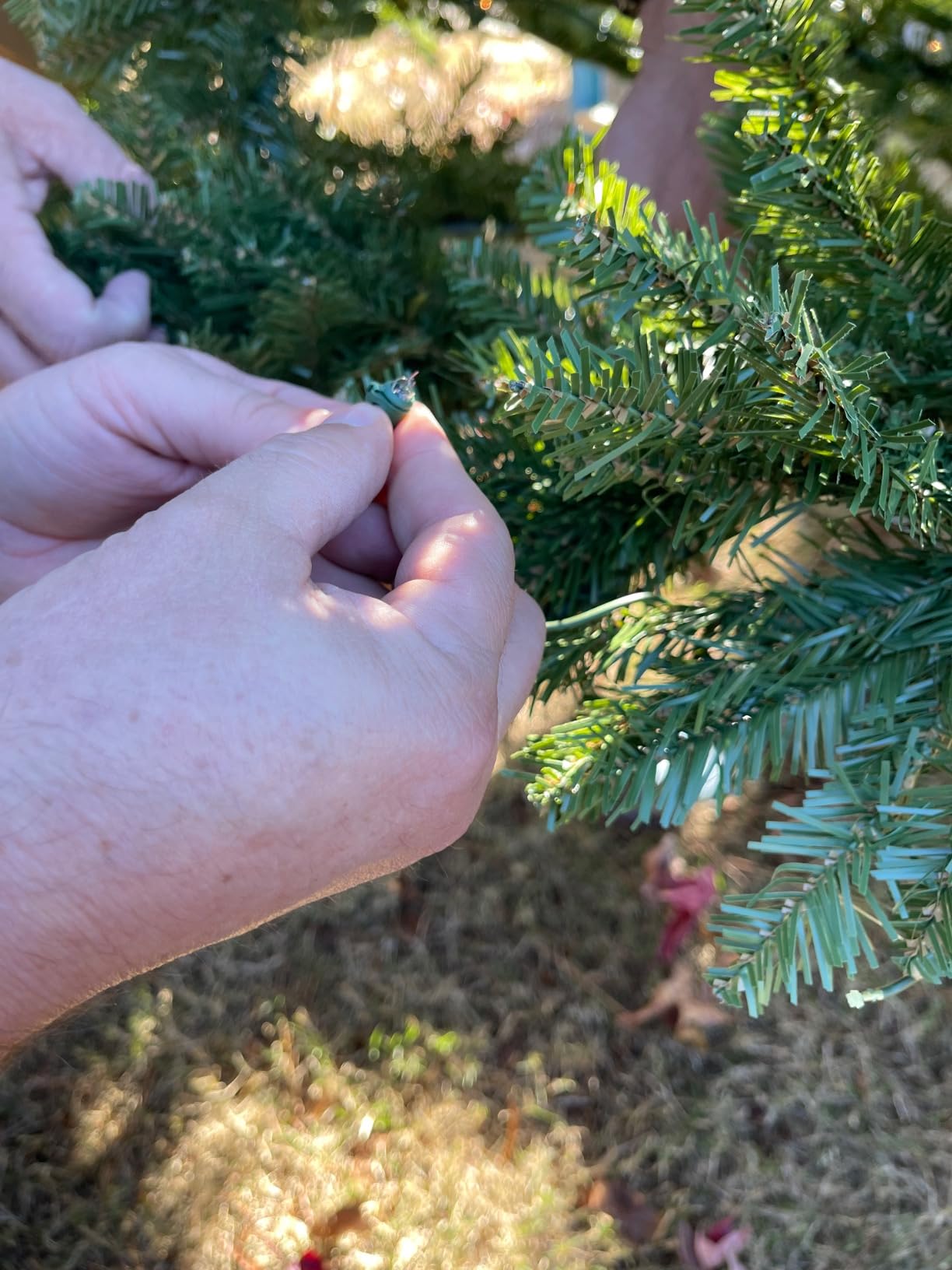 Pre-Lit Full Northern Pine Commercial Artificial Christmas Tree - 16' - Clear Lights customer photo 2