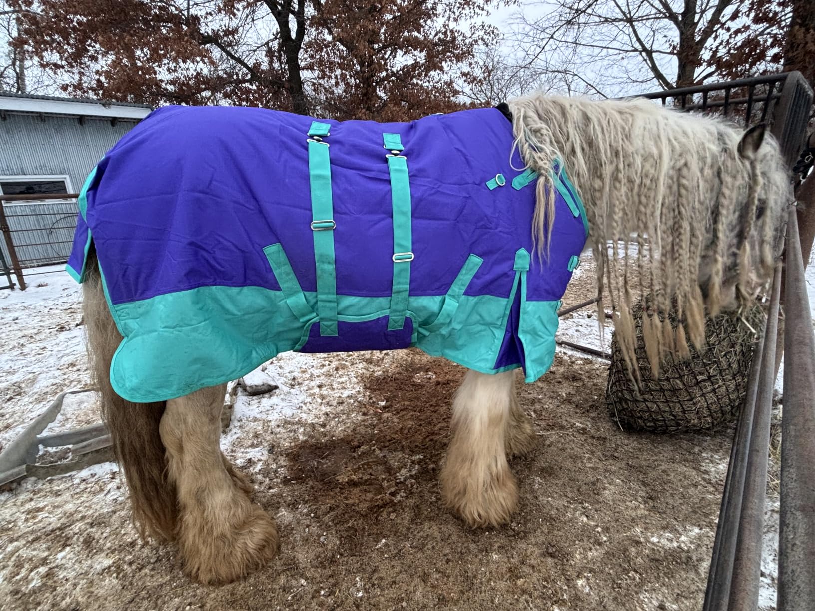 HILASON 1200D Winter Waterproof Poly Horse Turnout Blanket Belly Wrap customer photo 2