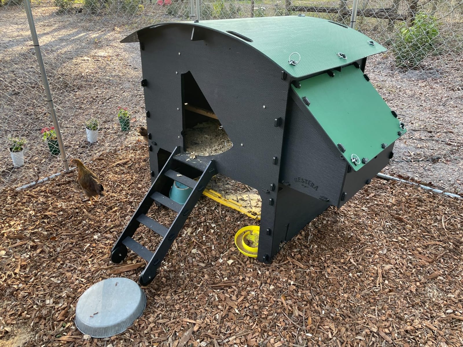 Plastic Chicken Coop 25yr Lifespan - Large Penthouse Chicken Coop for 8 Chickens Or 15 Bantams | 2 Rounded Perches for Chickens & Hens to Roost | Penthouse for Poultry with 2 Nesting Boxes & Ladder customer photo 1