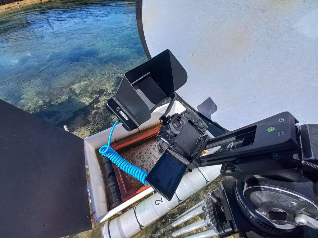 osee T5+ 5.5 Inch 1000nits Camera Monitor, Customizable False Color Field Monitor, HDR 4K HDMI Input 8 MySets Preview Workflow DSLR Monitor, Peaking Focus Assist, 3D Lut (Battery Not Included) customer photo 2