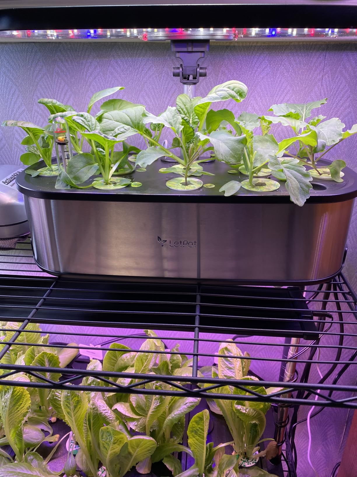 LETPOT LPH-SE Hydroponics Growing System, 12 Pods Smart Herb Garden Kit Indoor, APP & WiFi Controlled, 24W LED customer photo 2