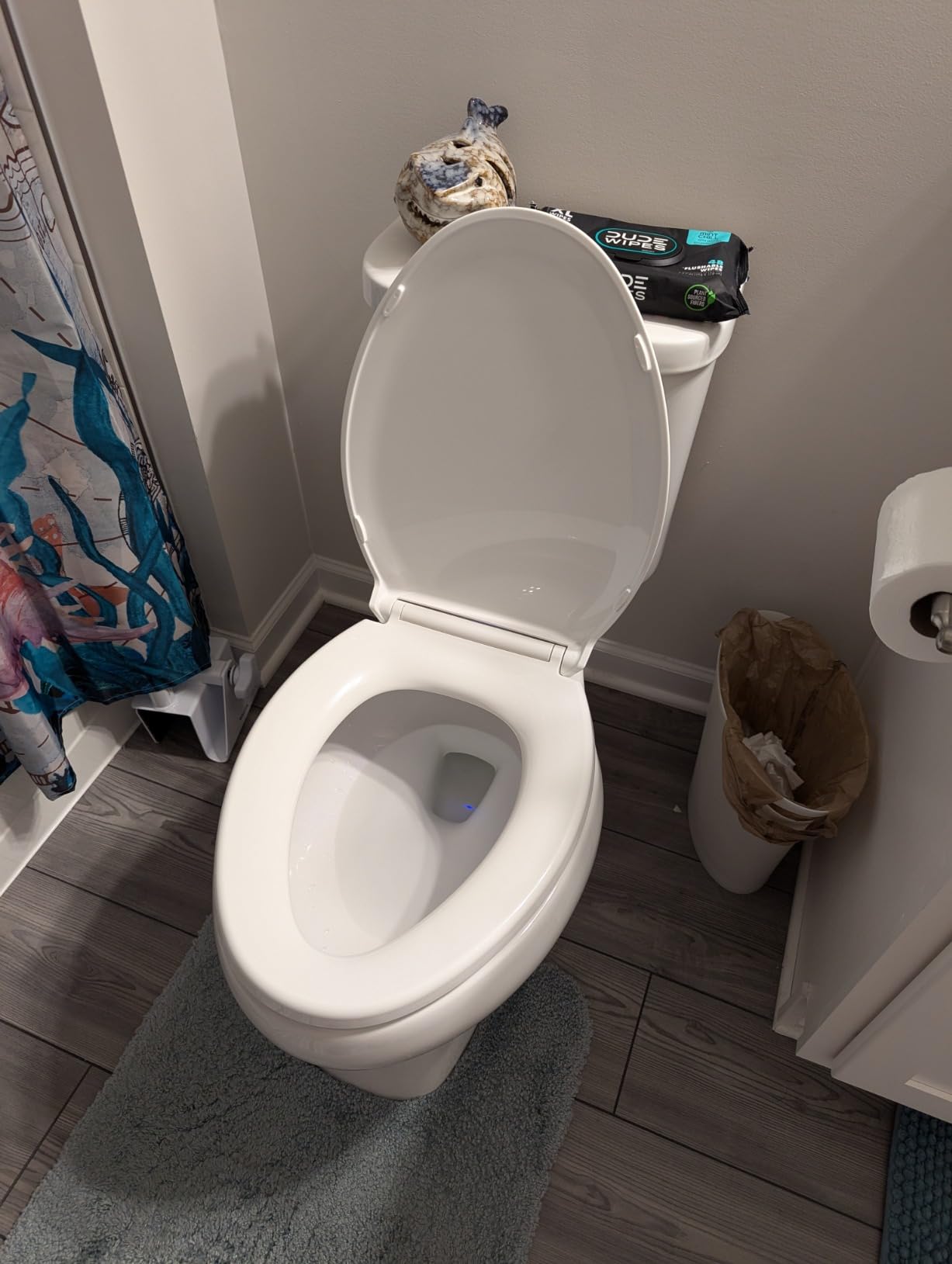 KOHLER 24764-RL-0 Rutledge Nightlight ReadyLatch Slow Close Toilet Seat, Elongated, Quiet-Close Lid and Seat, Grip-Tight Bumpers, White customer photo 1