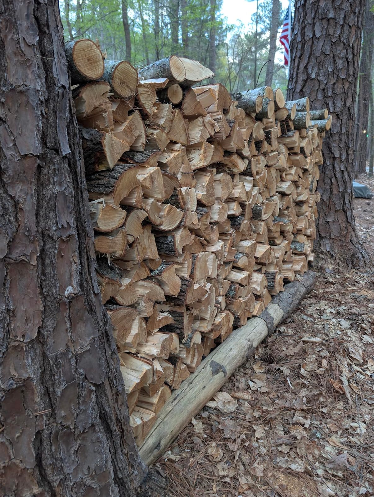 YARDMAX YS0650 6.5 Ton Electric Log Splitter customer photo 2