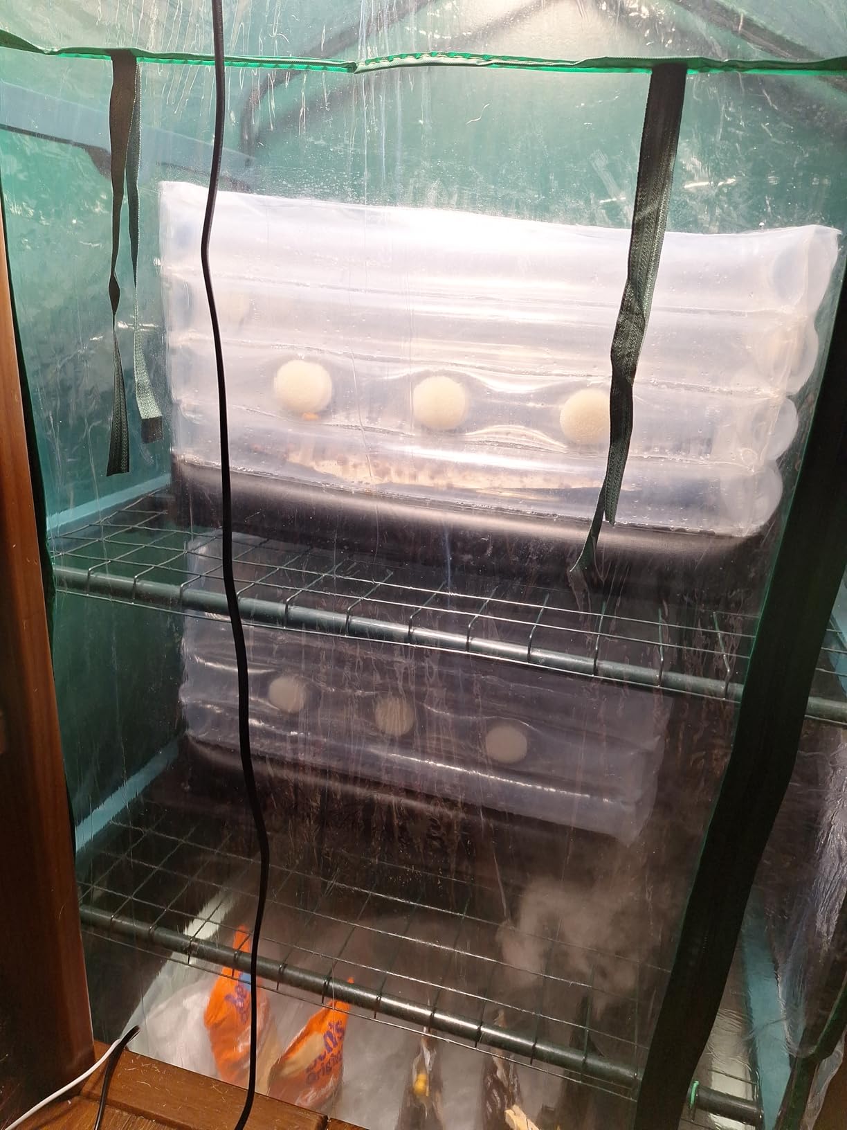 Boomer Shroomer Inflatable Monotub Kit, Mushroom Growing Kit Includes a Drain Port, Plugs & Filters, Removeable Liner [Patent No: US 11,871,706 B2] customer photo 2