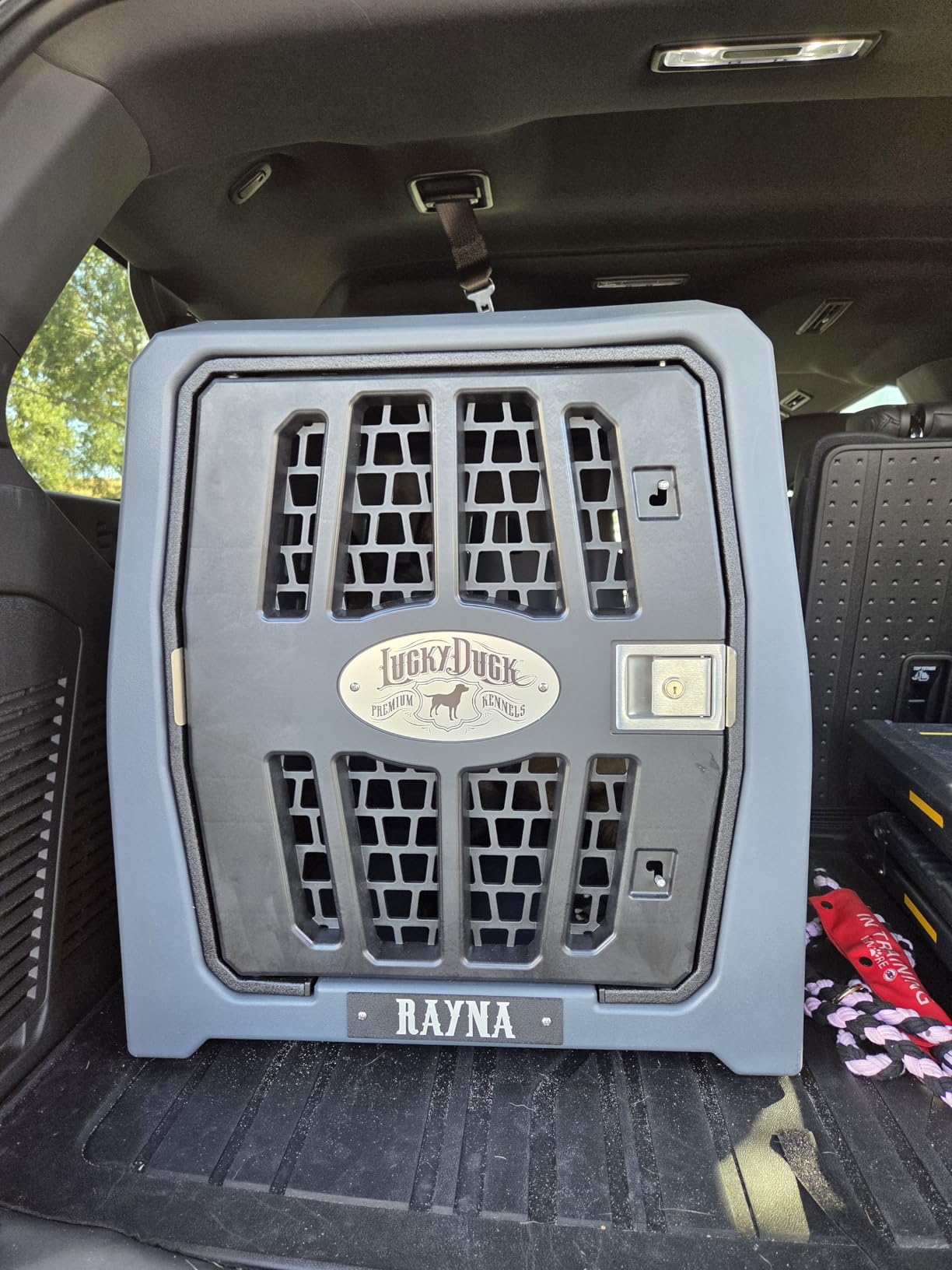 Lucky Dog Kennel, Durable Crash Tested Portable Dog Crates, Intermediate customer photo 1