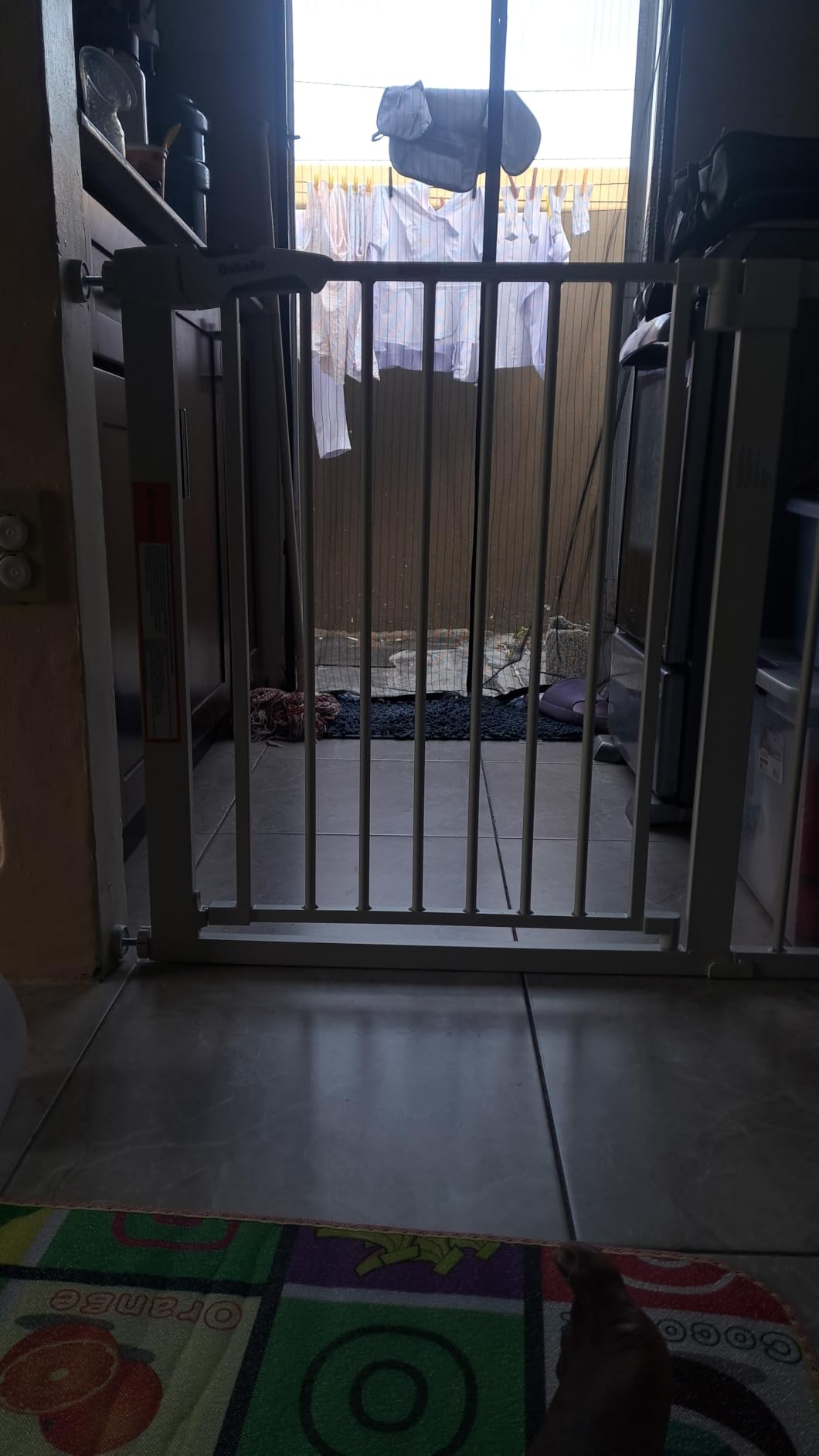 Babelio 29-55