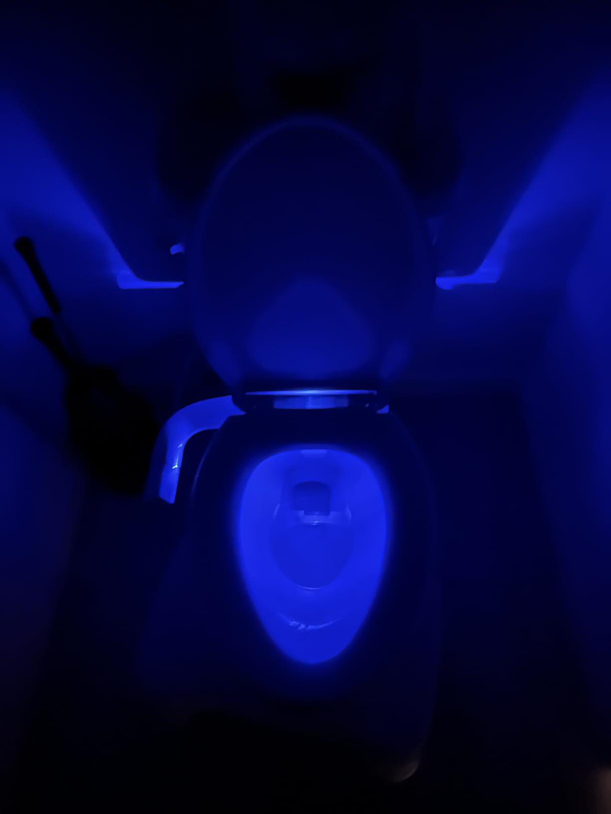 KOHLER CACHET Nightlight Soft Close Toilet Seat Elongated, ReadyLatch, Grip-Tight Hardware, White customer photo 1