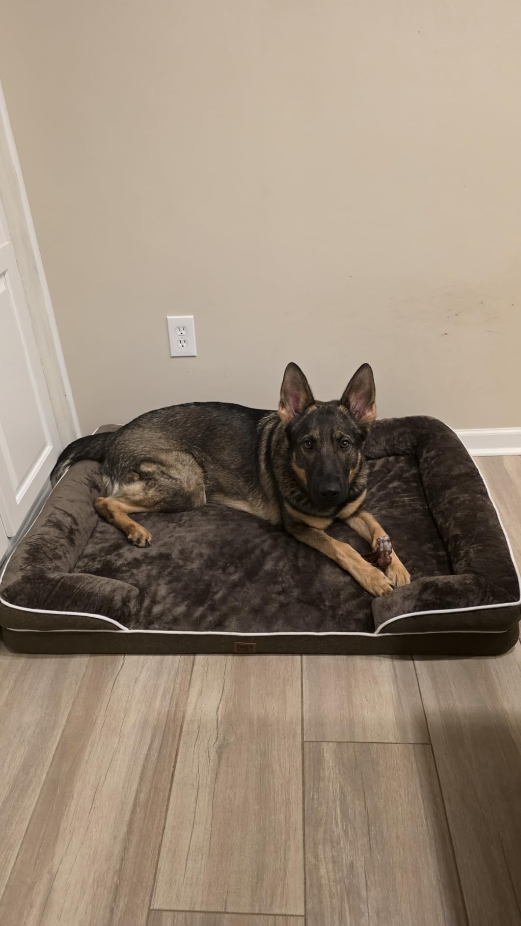 EHEYCIGA Orthopedic XXL Dog Bed, Waterproof Washable XL Big Pet Bed 52
