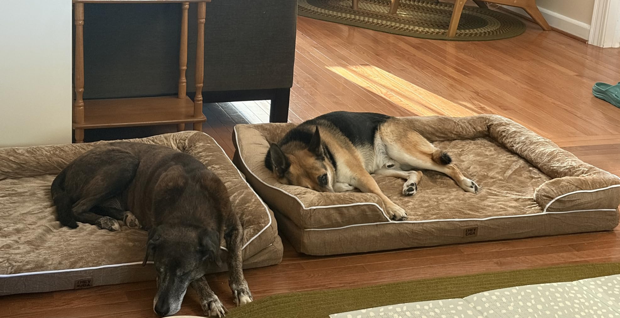 EHEYCIGA Orthopedic XXL Dog Bed, Waterproof Washable XL Big Pet Bed 52