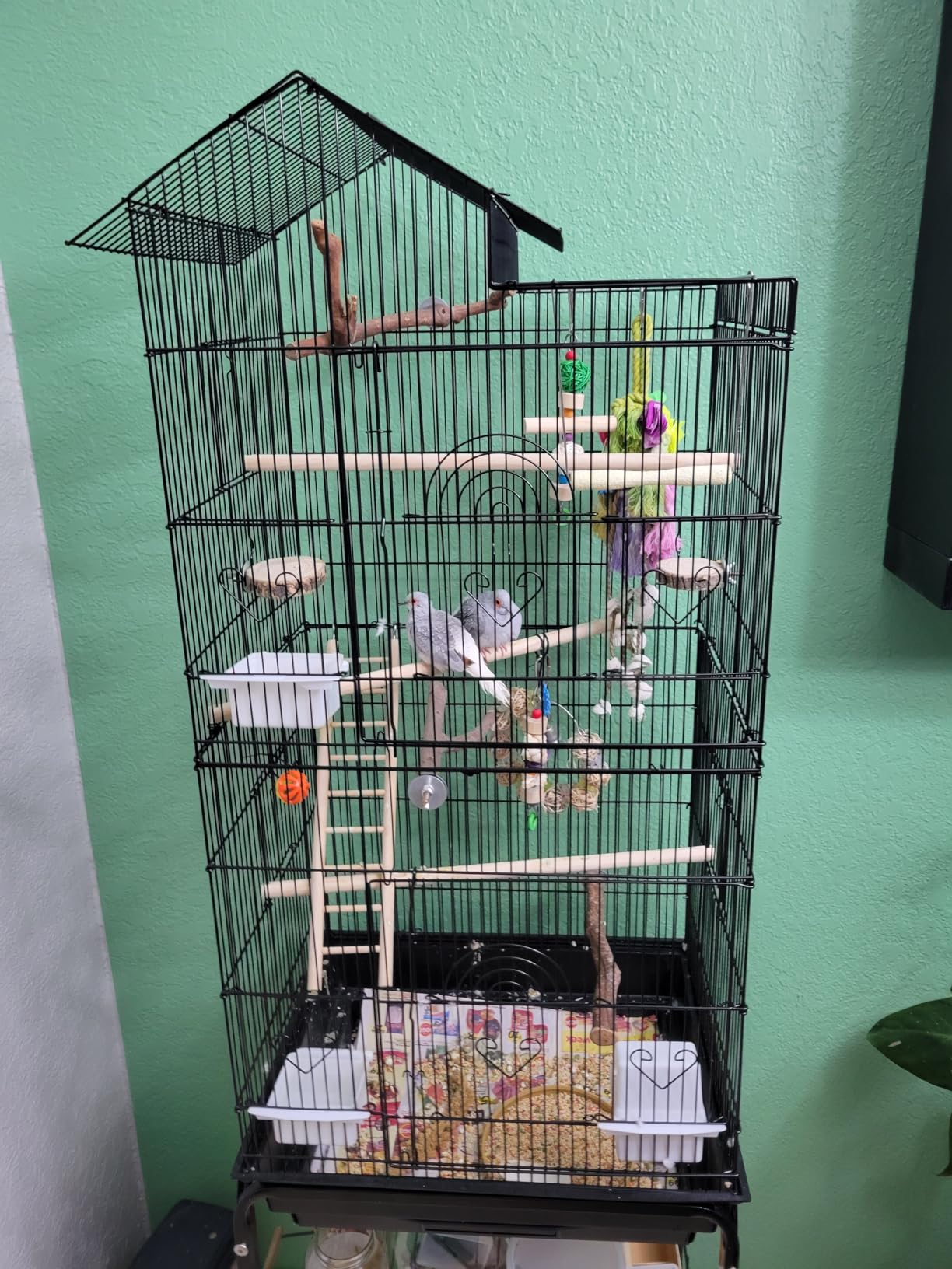 YITAHOME 62 inch Metal Bird Cage, Large Parakeet Cages | Bird Cage for Parrot, Cockatiel, Lovebird, Pigeon with Roof Top, Rolling Stand and Hanging Accessories customer photo 2