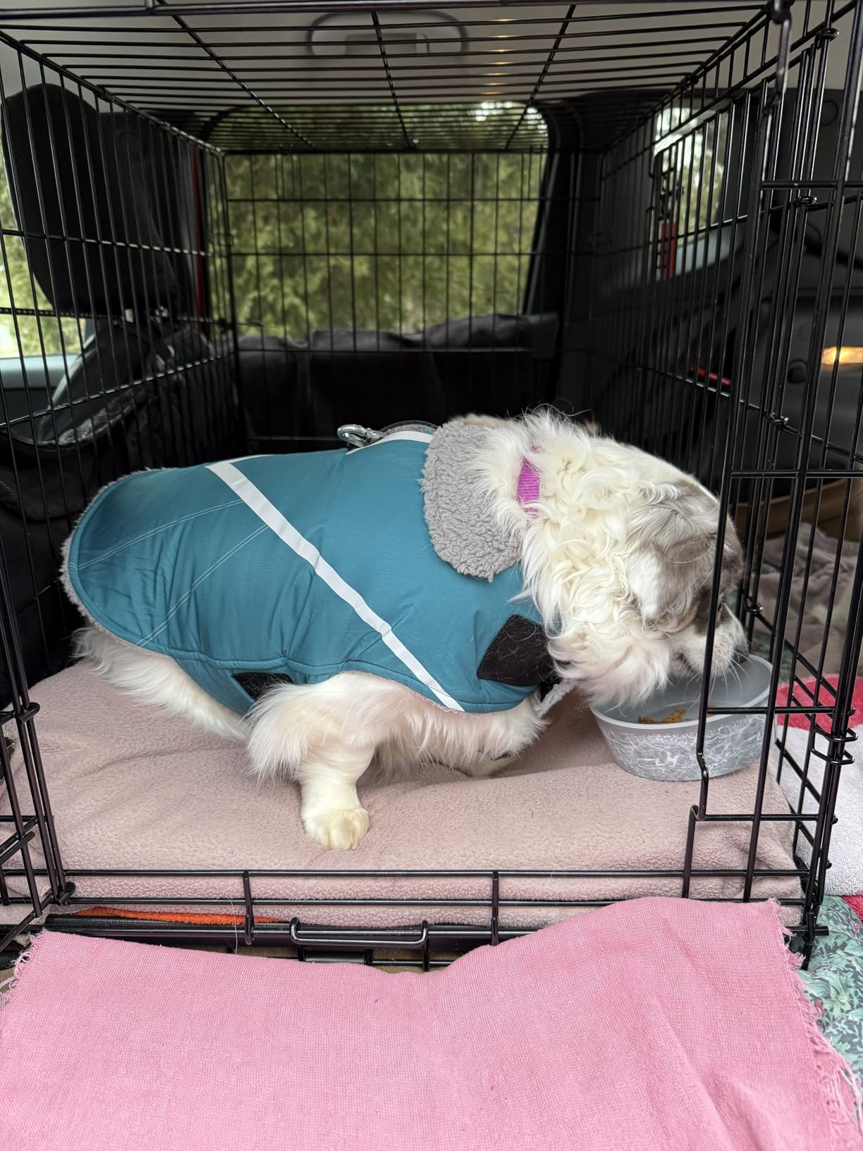 VIVAGLORY Dog Jacket Warm Snowrap Dog Winter Coat Vest, M, Turquoise | Fleece Lined Heavy Duty Reflective Water Resistant, Puppy Fleece Coat with Harness Hole & Zipper for Cold Weather & Snow customer photo 1