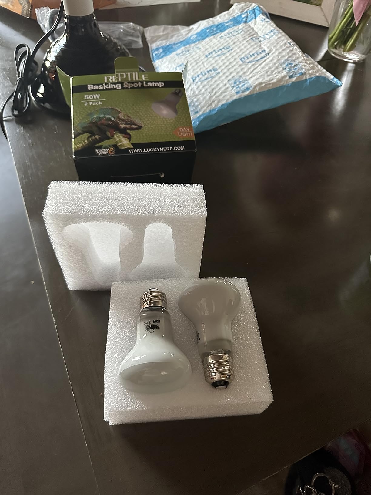 LUCKY HERP Reptile Heat Lamp Bulbs 100W, UVA Daylight Basking Bulbs 2 Pack | Fast Heating, Simulates Natural Sunlight, Ideal for Bearded Dragons Geckos Lizards Turtles Chameleons Amphibians & Chickens customer photo 2