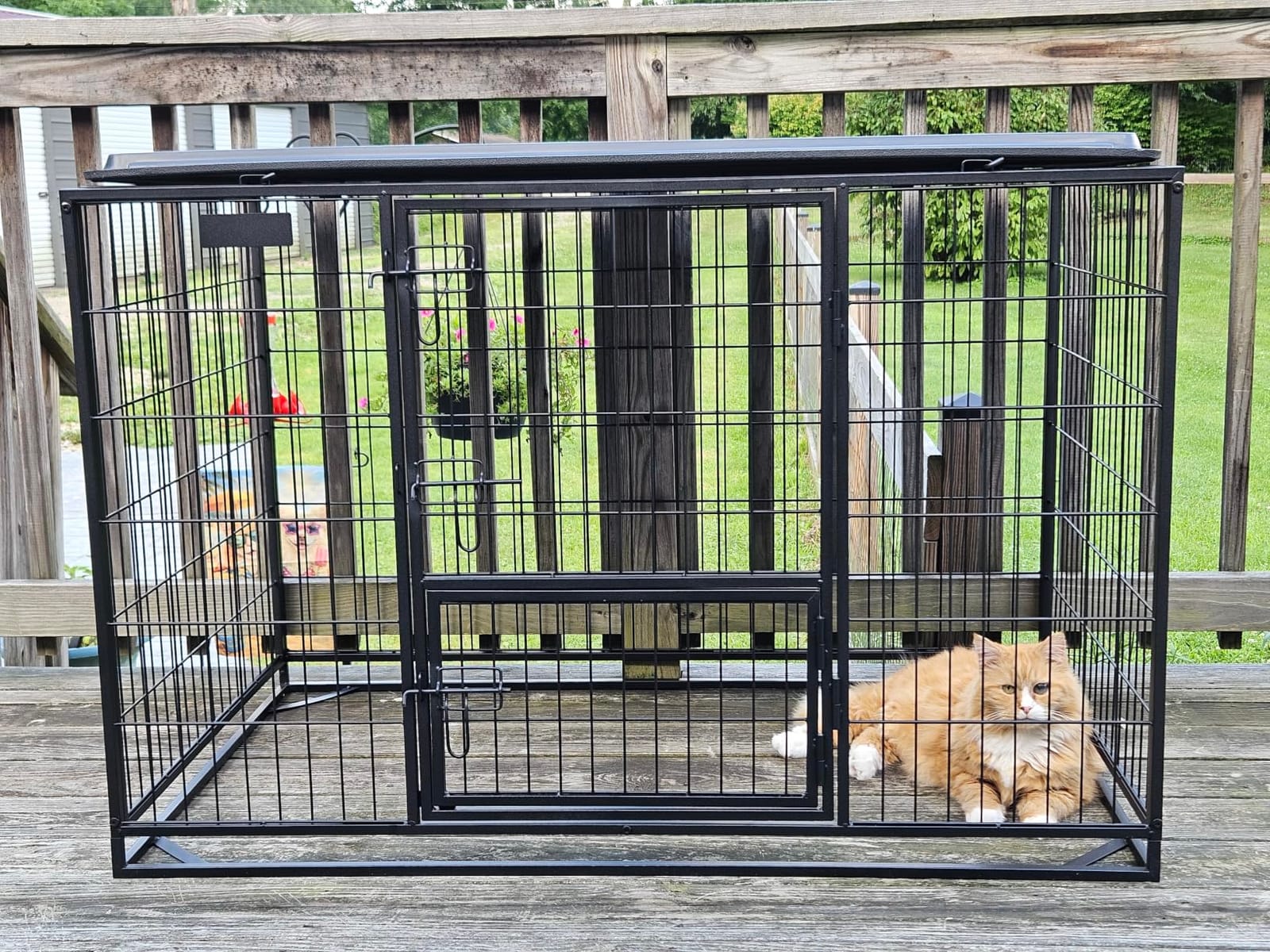 Feandrea 48 Inch Heavy Duty Dog Crate, Metal Escape Proof Dog Kennel with Double Doors and Convenient Feeding Door, Removable Tray, Easy to Clean, XXL Dog Crate for Large and Medium Dogs, Black customer photo 2