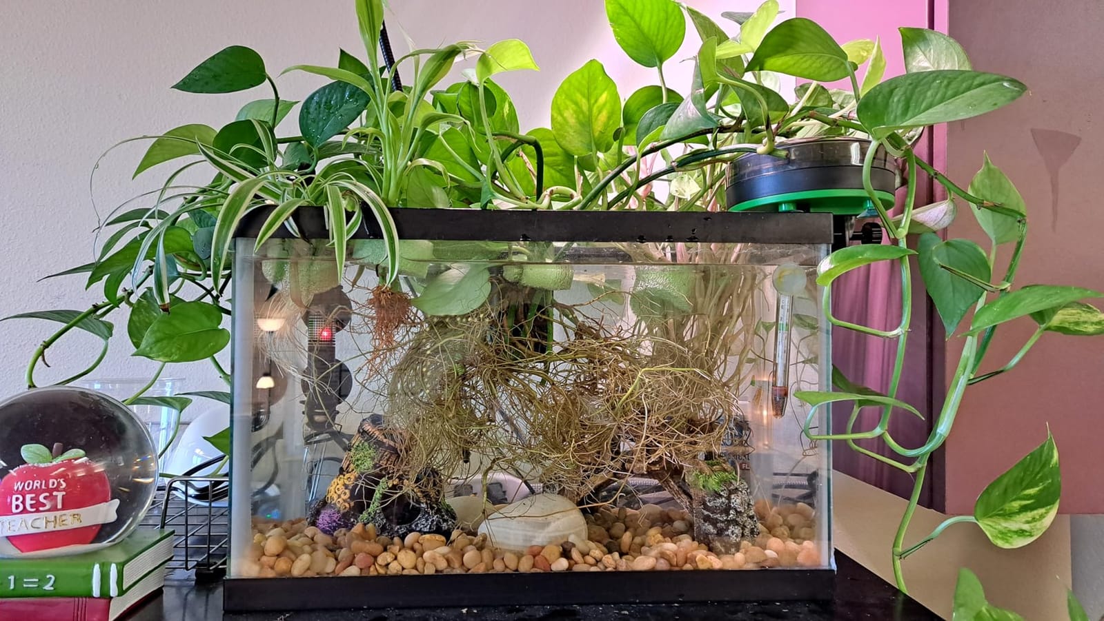Automatic Fish Feeder for Aquarium Portion Control & Moisture-Proof | USB-C Rechargeable Auto Fish Food Dispenser with Timer, LCD Display, Vacation Precision Feeding for Small Tank Betta Turtle customer photo 2