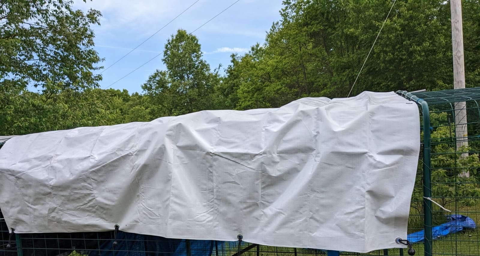 Outdoor Metal Chicken Coop Cover with 22 pcs Ball Bungee Cords, for Large Walk-in Chicken Run Pen, Waterproof, Fence Chicken Cages Cover, 11'Lx6.33'W (Only Cover, Frame Not Included) 1 Pack customer photo 2