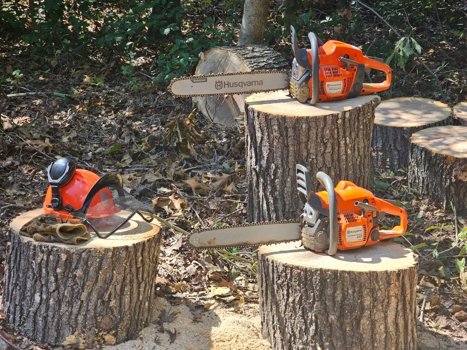 Husqvarna 455 Rancher Gas Chainsaw, 55-cc 3.5-HP, 2-Cycle X-Torq Engine, 20 Inch Chainsaw with Automatic Oiler, For Wood Cutting, Tree Trimming and Land Clearing customer photo 1