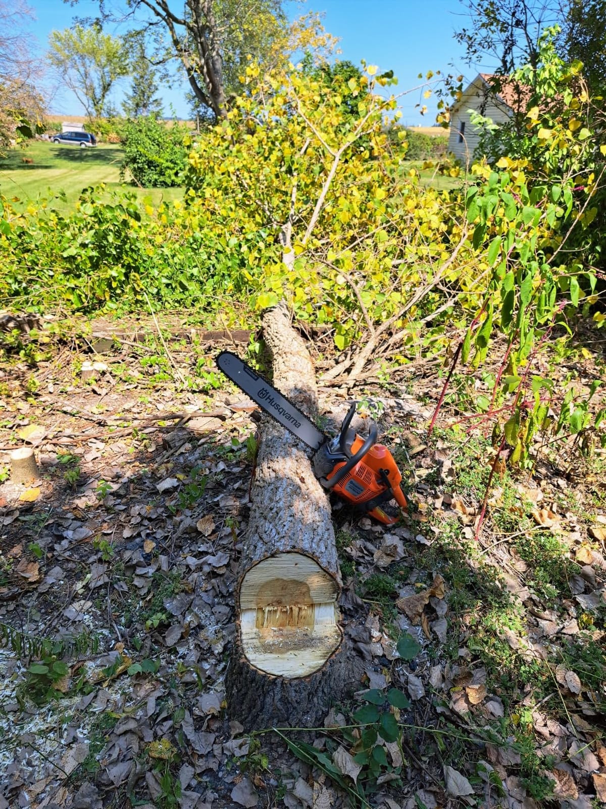 Husqvarna 455 Rancher Gas Chainsaw, 55-cc 3.5-HP, 2-Cycle X-Torq Engine, 20 Inch Chainsaw with Automatic Oiler, For Wood Cutting, Tree Trimming and Land Clearing customer photo 2