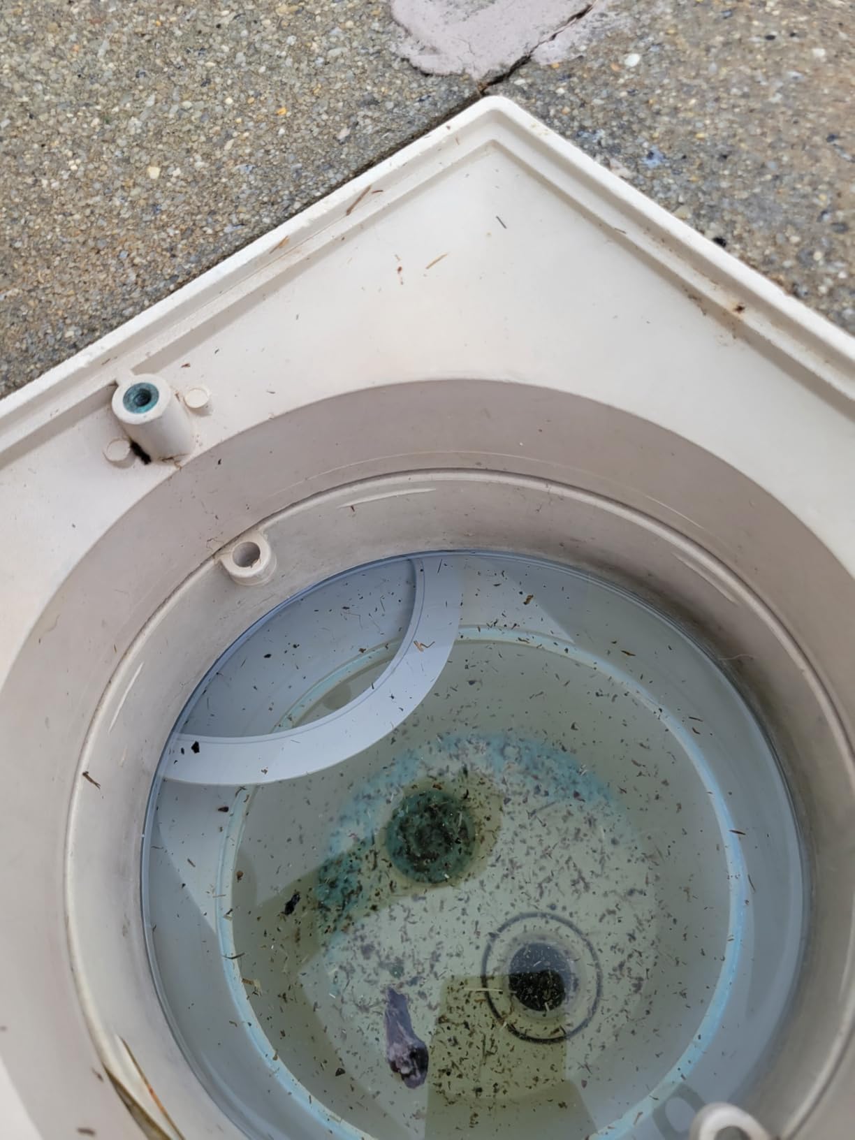 Sepetrel Upgrade Pool Vacuum Head with Side Brush & Universal Rotatable Hose Adapter,Weighted Triangular Shape(Safe for Vinyl Liner Pool) customer photo 1
