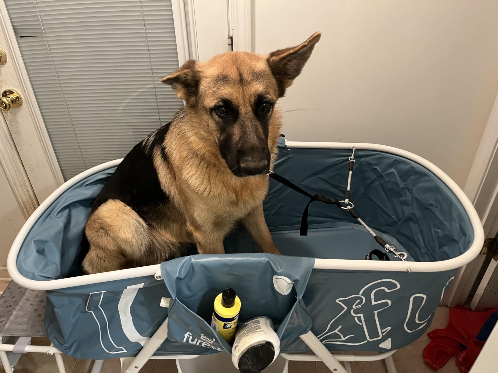 Furesh Foldable Dog Washing Station for Large Dogs with Stairs | Reinforced aluminum frame with foldable stairs for safe, elevated bathing and compact storage. customer photo 1