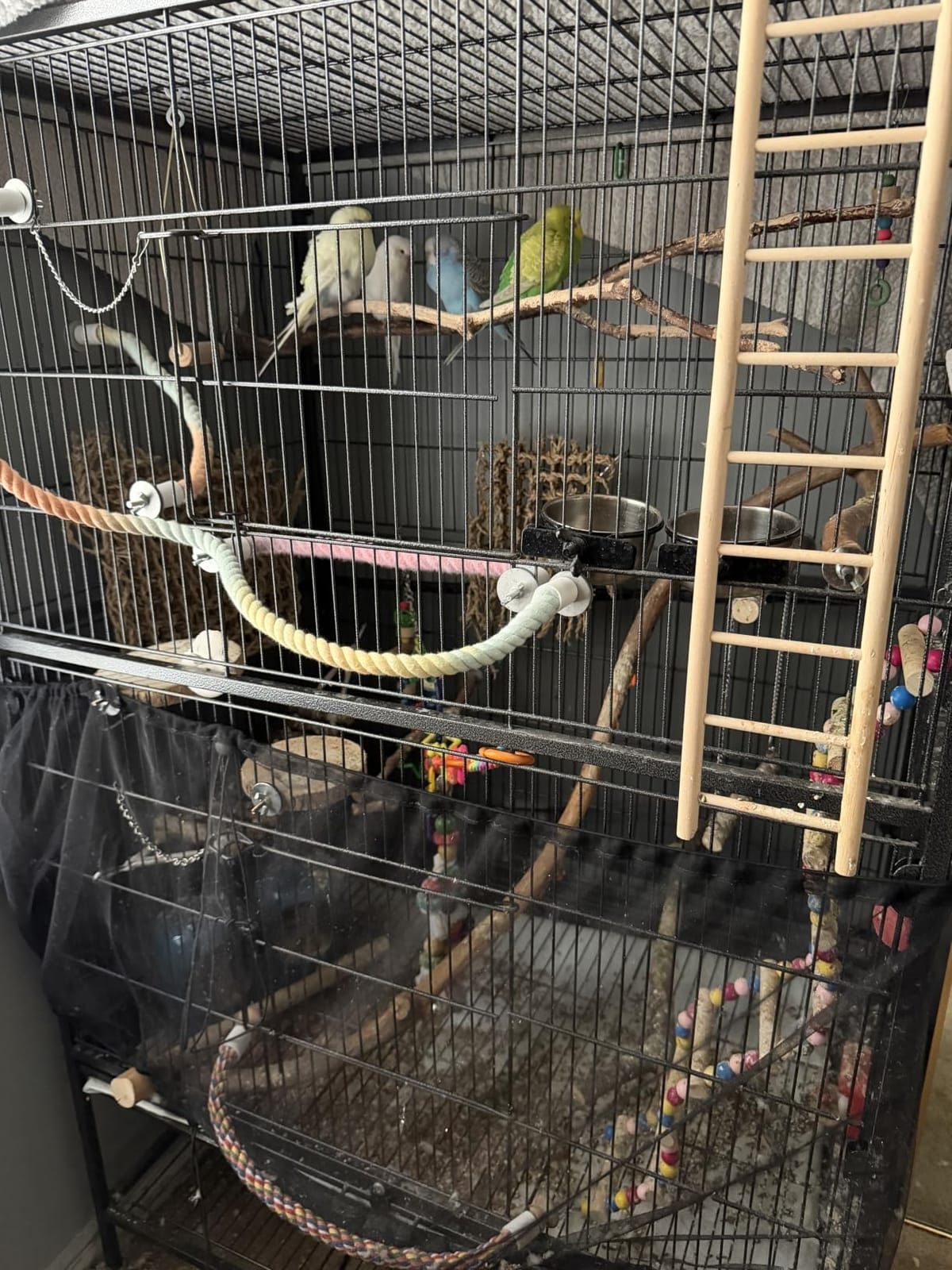 Yaheetech 60.5inch Extra Large Bird Cage Metal Parrot Cage Flight Cage for Cockatiels African Grey Quaker Green Cheek Sun Conure Medium Birds Parrots customer photo 1