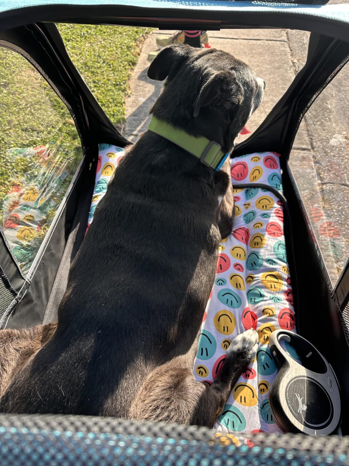 Saudism Dog Stroller for Large Dogs, Extra Large Pet Stroller for Medium Dogs, Dog Wagon Carriage, Foldable Design, Adjustable Handle, with Pocket, Up to 130 lbs, Blue customer photo 2