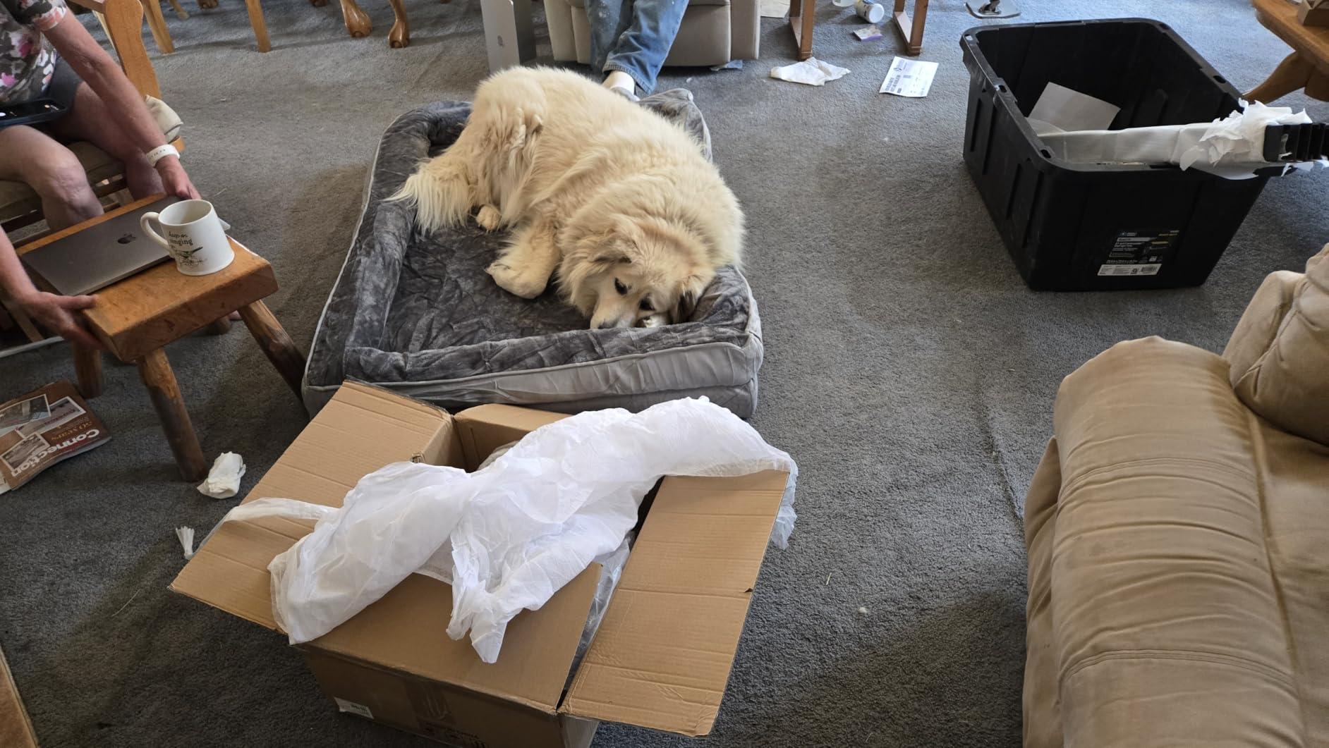 Bedsure Orthopedic Dog Beds Large Sized Dog with Removable Washable Cover, 38