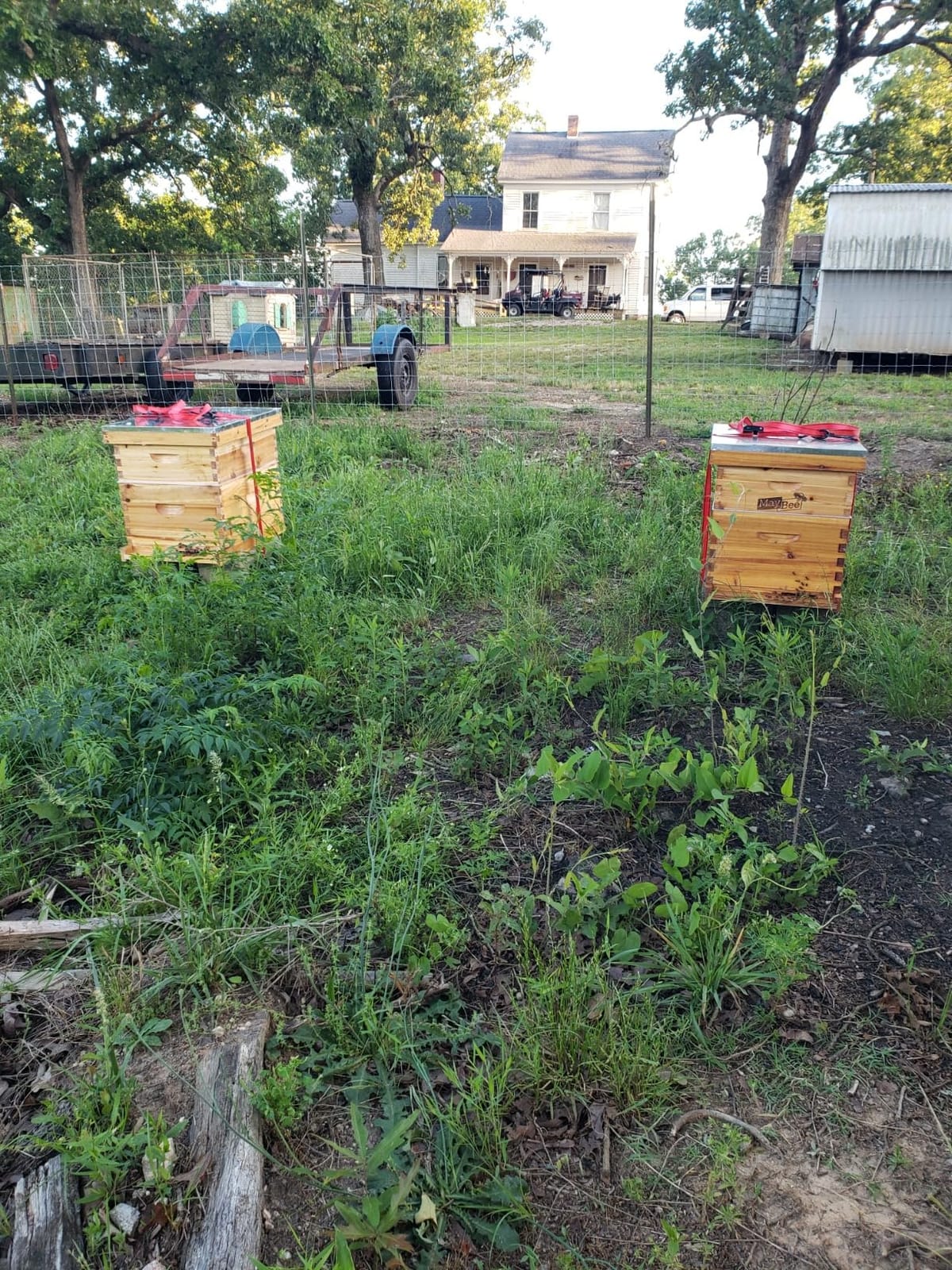 VINGLI 10 Frame Langstroth Beehive Starter Kit, Beeswax Coated 2 Layer Complete Bee Hive, 1 Deep Brood Box & 1 Medium Super Box with Frames and Waxed Foundations for Beekeepers customer photo 2