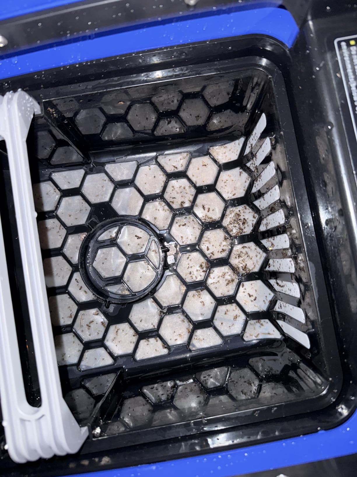 Betta SE Solar Powered Automatic Robotic Pool Surface Skimmer Cleaner with 24/7 Continuous Cleaning Battery Power and Re-Engineered Twin Salt Chlorine Tolerant Motors (Blue) customer photo 2