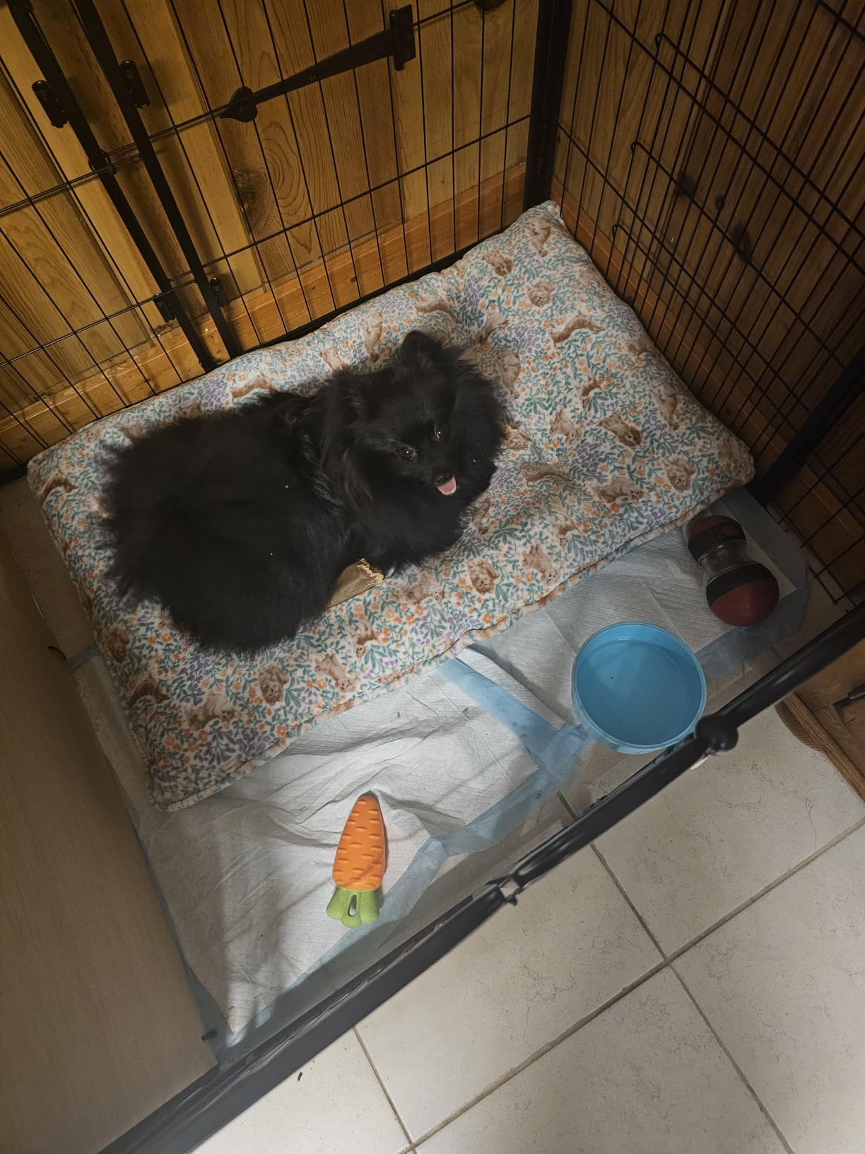 FXW Homeplus Indoor Dog Playpen, 24