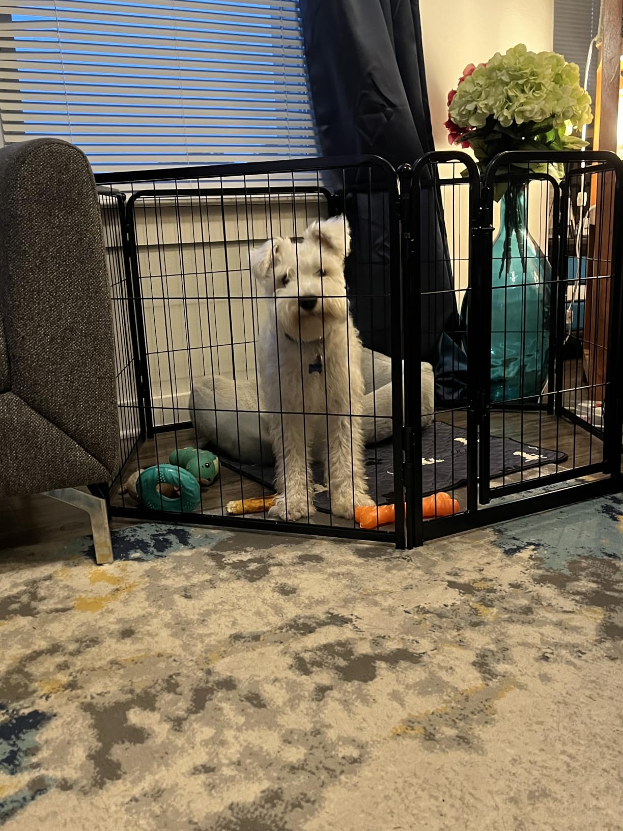 FXW Homeplus Indoor Dog Playpen, 24