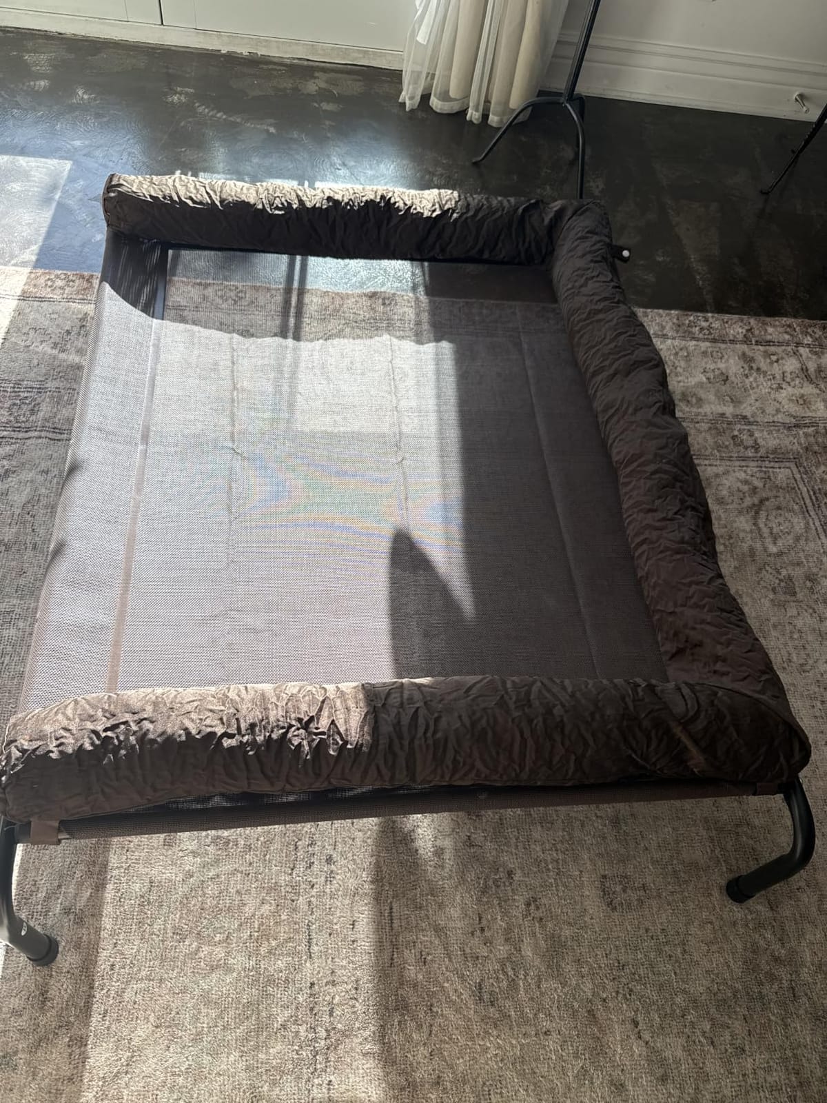 WESTERN HOME Cooling Elevated Dog Bed for Large Dogs, Outdoor Raised Dog Bed | Dogs Cot Portable Indoor, Raised with Breathable Mesh, Chew Proof Pet Hammock Cots, Removable and Waterproof Bolsters customer photo 2