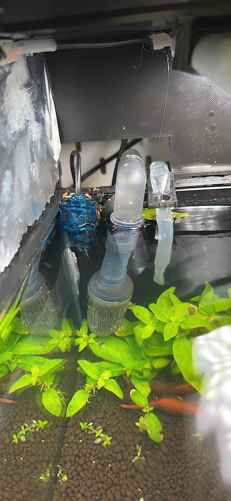 Duetto 2 Dual-Sensor Complete Aquarium Auto Top Off ATO System customer photo 1