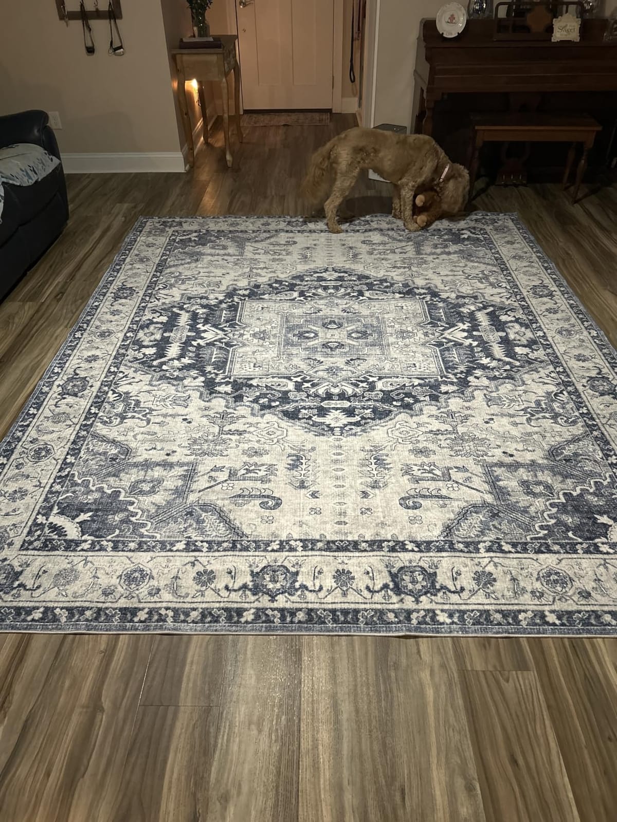 Washable 8x10 Area Rugs, Non Slip Living Room Rug Ivory/Gray | Low Pile with Stain Resistant Surface, Pet and Kid Friendly, Carpet for Bedroom, Dining Room, Home Decor customer photo 1
