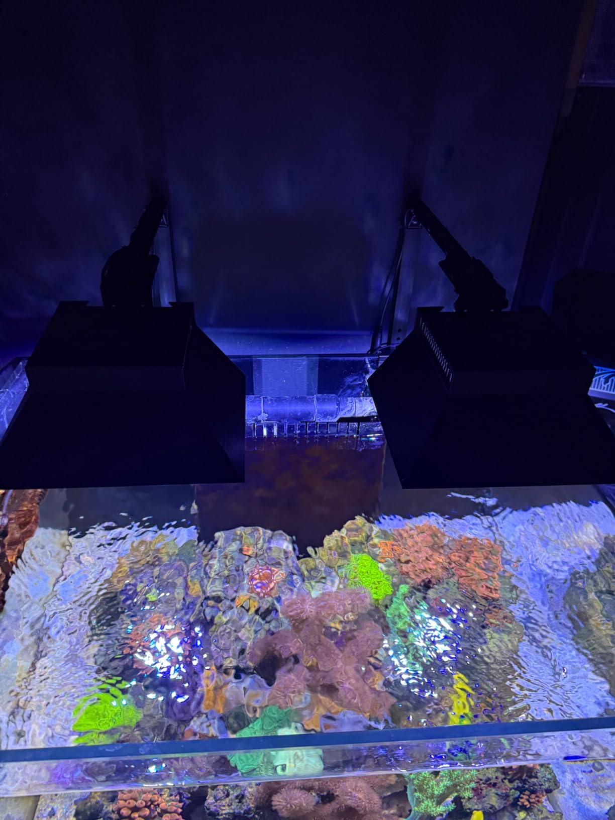 PopBloom RL115 Reef LED Light, Powerful as 135W Reef Aquarium Lighting for LPS/SPS Corals and Saltwater Fish Tanks, Built-in Timer, Blue Focused Spectrum, APP Control customer photo 2