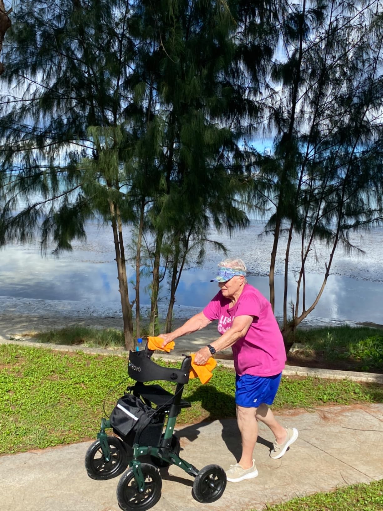 Helavo All Terrain Walker, 12